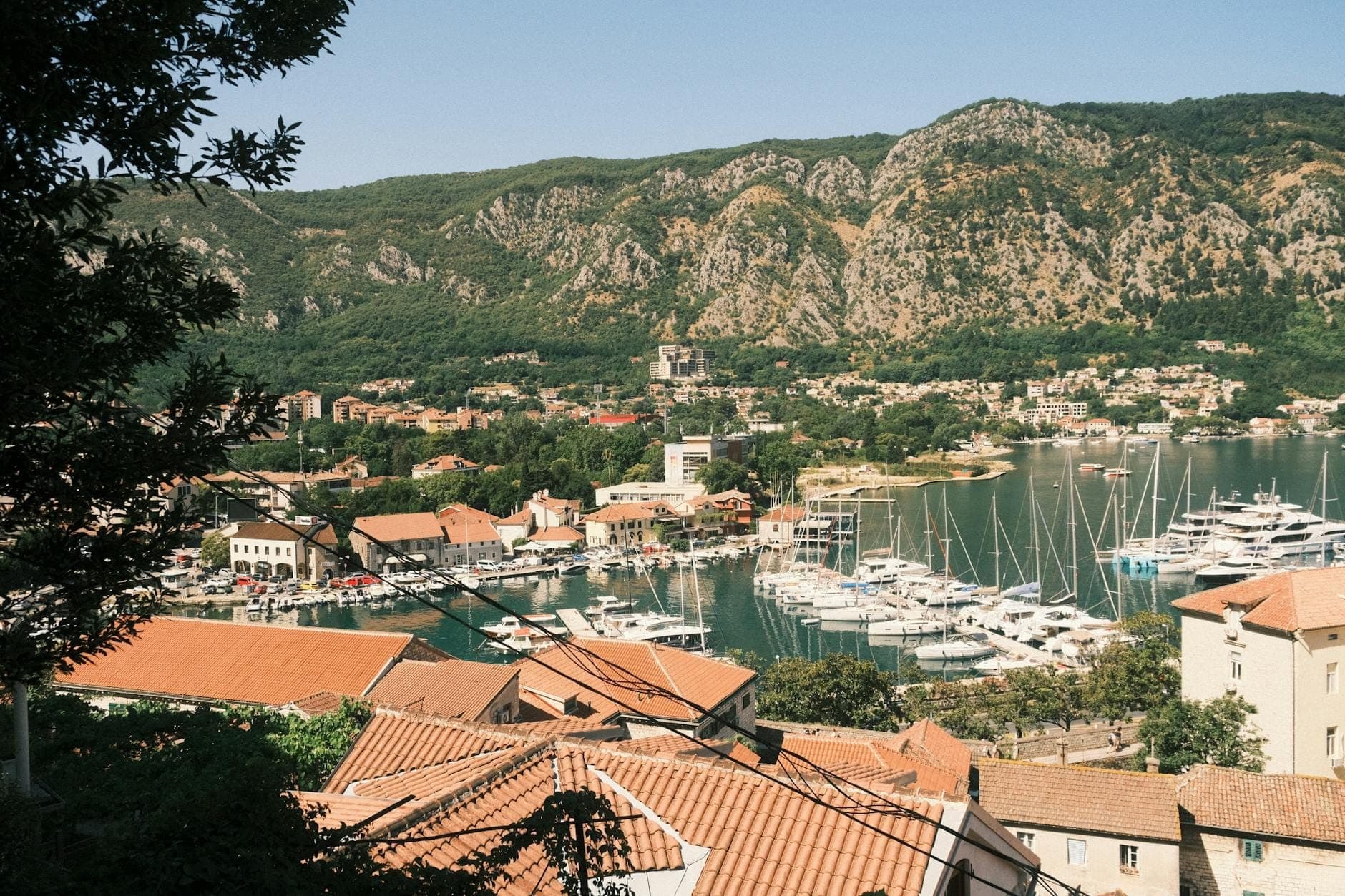Vue panoramique de la Baie de Kotor avec des bâtiments aux toits rouges, une marina pleine de bateaux et des montagnes escarpées en arrière-plan sous un ciel dégagé.