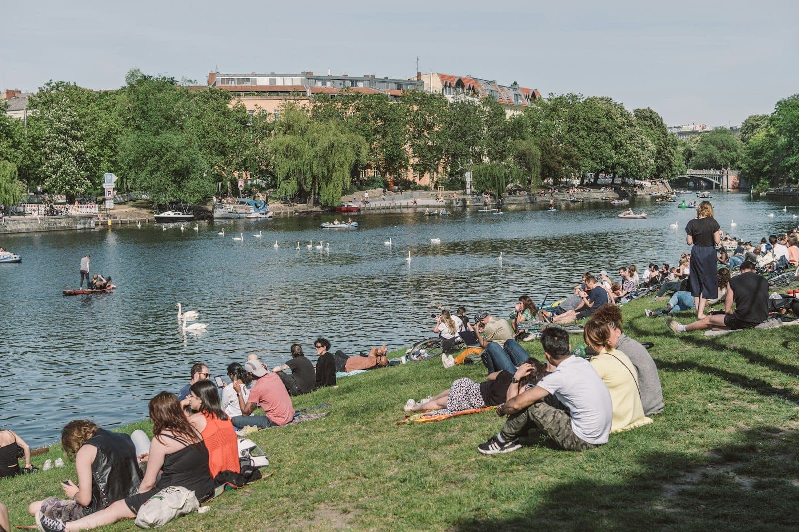 Persone che si rilassano sull'erba lungo un fiume a Berlino in una giornata di sole, con cigni nell'acqua e alberi sullo sfondo.