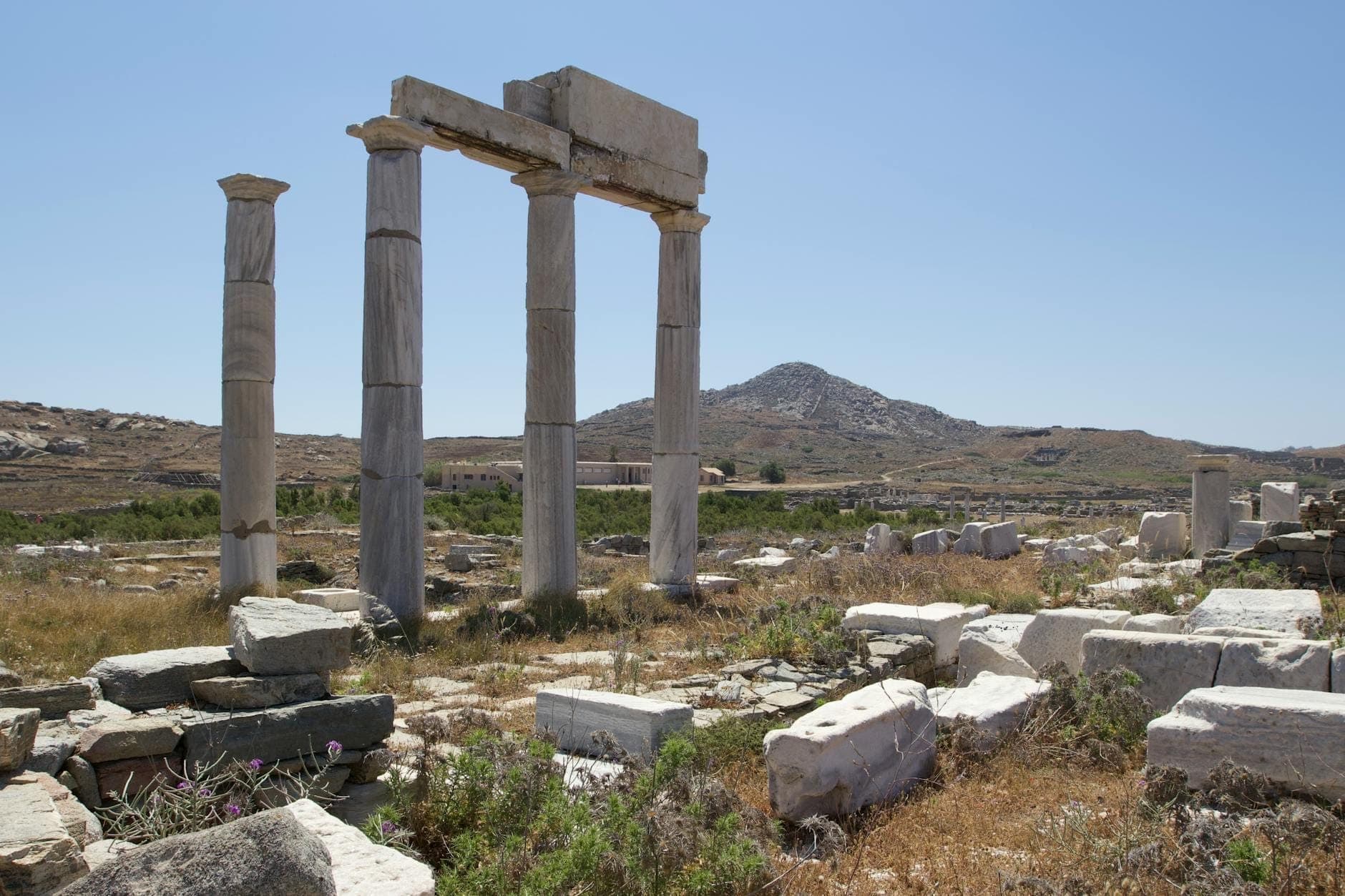 Antike Steinsäulen und Ruinen auf der Insel Delos mit einem Berg im Hintergrund unter einem klaren blauen Himmel.