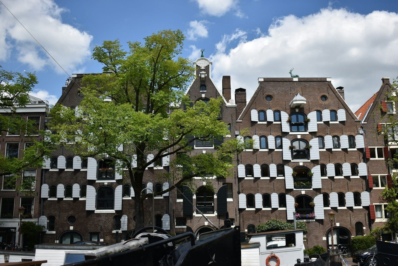 Backsteinwohngebäude in Amsterdam mit ausdrucksstarken weißgerahmten Fenstern und dekorativer Fassade, baumgesäumte Straße unter blauem Himmel
