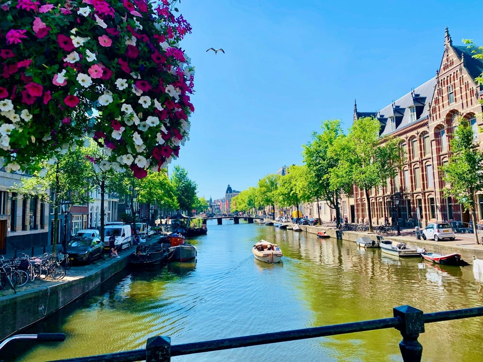 Kanalszene in Amsterdam mit Booten, historischen Gebäuden, Bäumen und einem hängenden Blumenkorb im Vordergrund an einem sonnigen Tag.