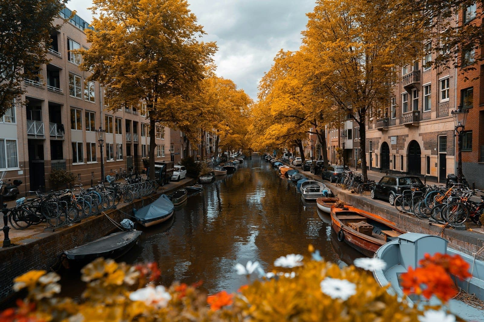 Amsterdamer Kanal gesäumt von gelben Herbstbäumen, Booten und Fahrrädern auf beiden Seiten. Blumen im Vordergrund, das Wasser spiegelt Gebäude und Himmel wider.