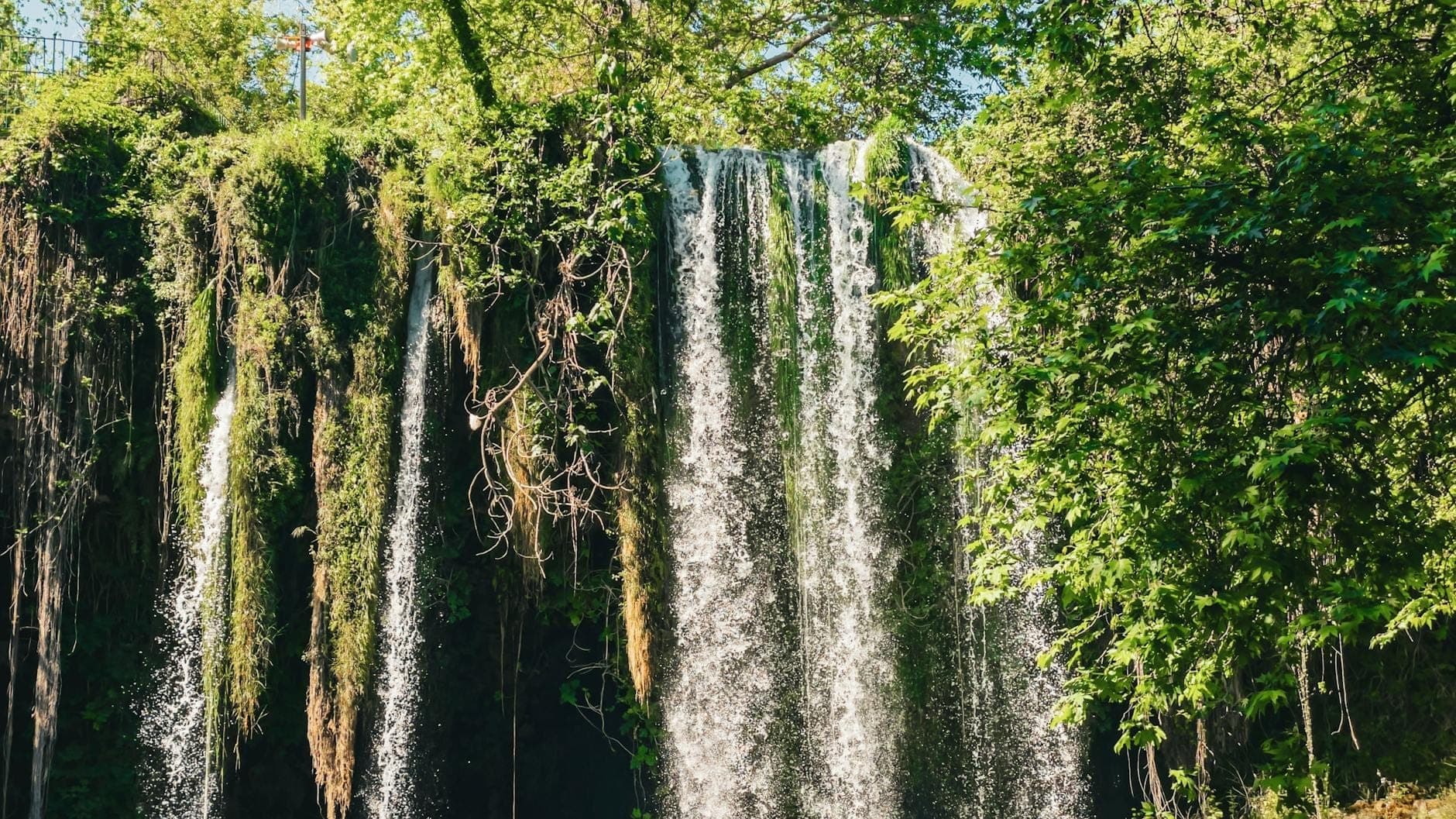 Ein hoher, malerischer Wasserfall, umgeben von üppiger grüner Vegetation im hellen Tageslicht, mit Wasser, das in ein schattiges Becken unten stürzt.
