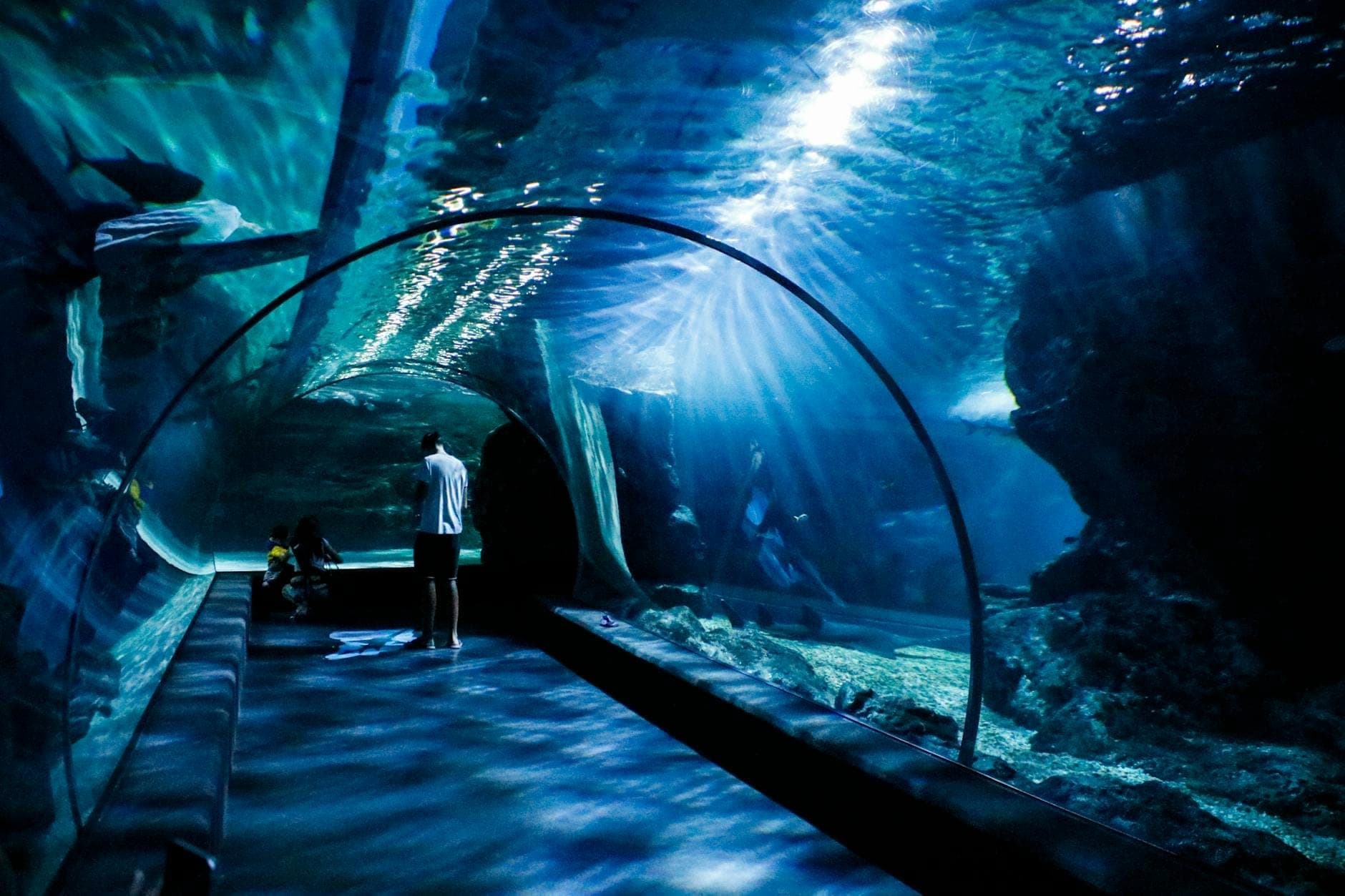 Des personnes marchant dans un tunnel sous-marin dans un grand aquarium public, avec un éclairage bleu et des rayons de soleil au-dessus.