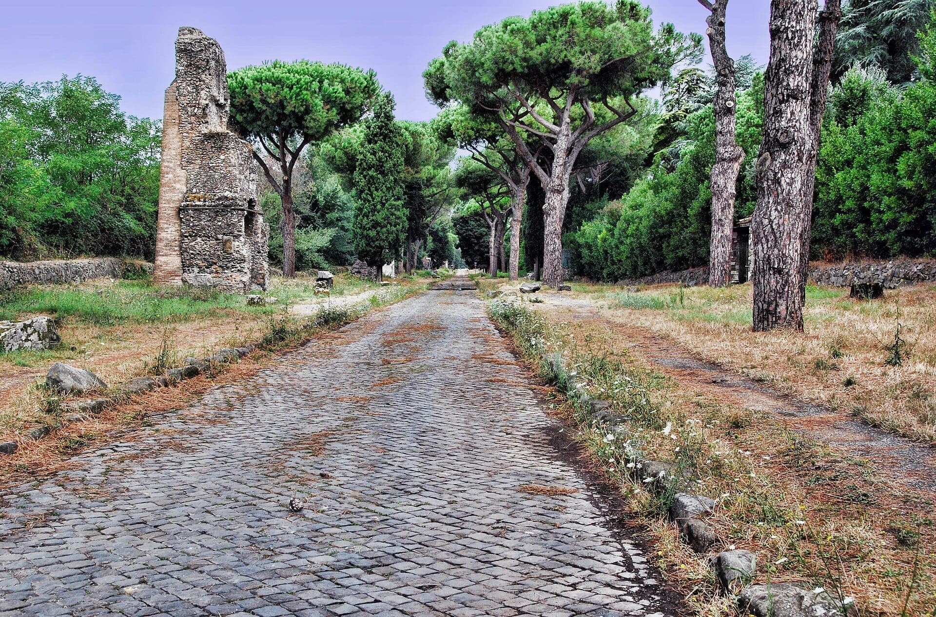 Percorso acciottolato della Via Appia Antica a Roma, fiancheggiato da rovine antiche, pini e rigogliosa vegetazione sotto un cielo sereno.