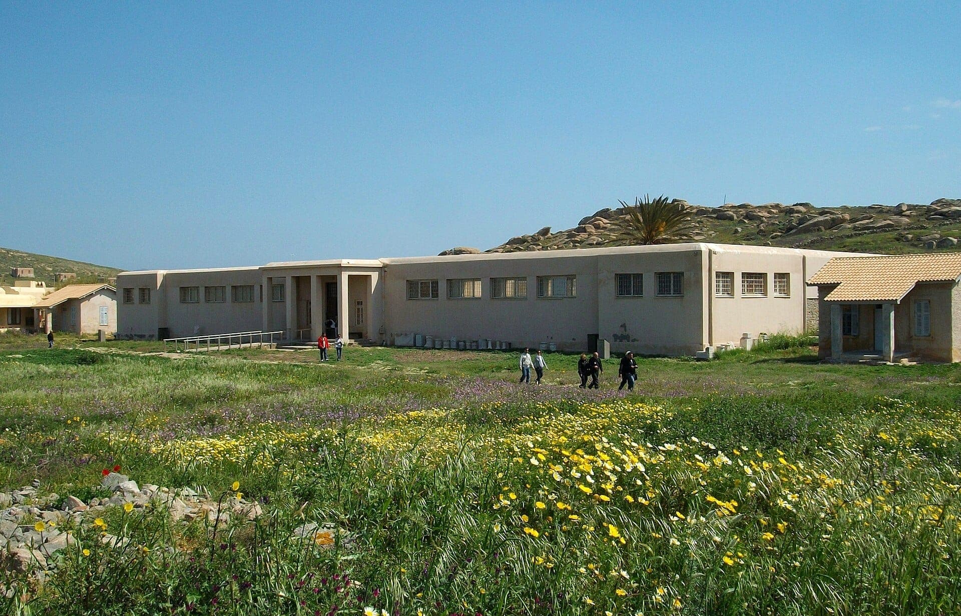 Das Gebäude des Archäologischen Museums von Delos steht auf einem Grasfeld mit vereinzelten Wildblumen unter einem klaren blauen Himmel.