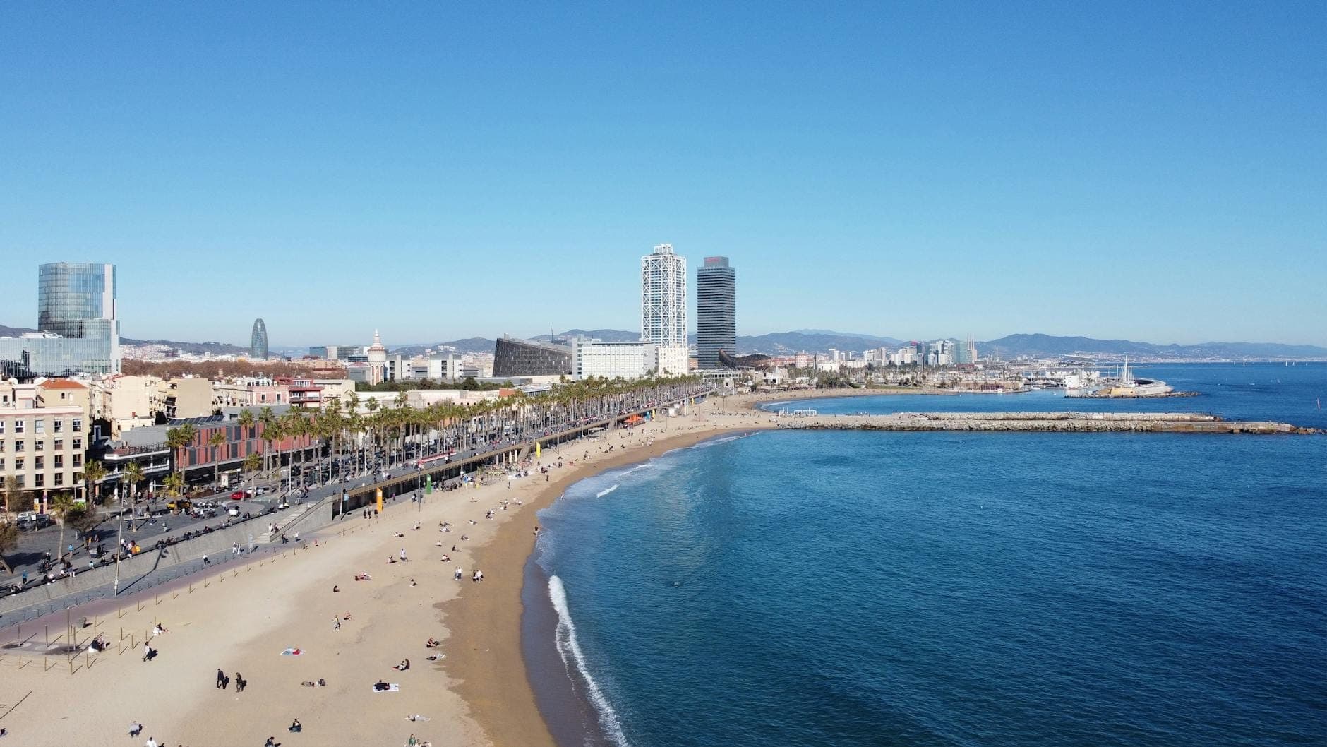 Vue panoramique des plages urbaines de Barcelone avec une longue étendue de sable, la mer, une promenade bordée de palmiers et la ligne d'horizon de la ville avec des tours reconnaissables.