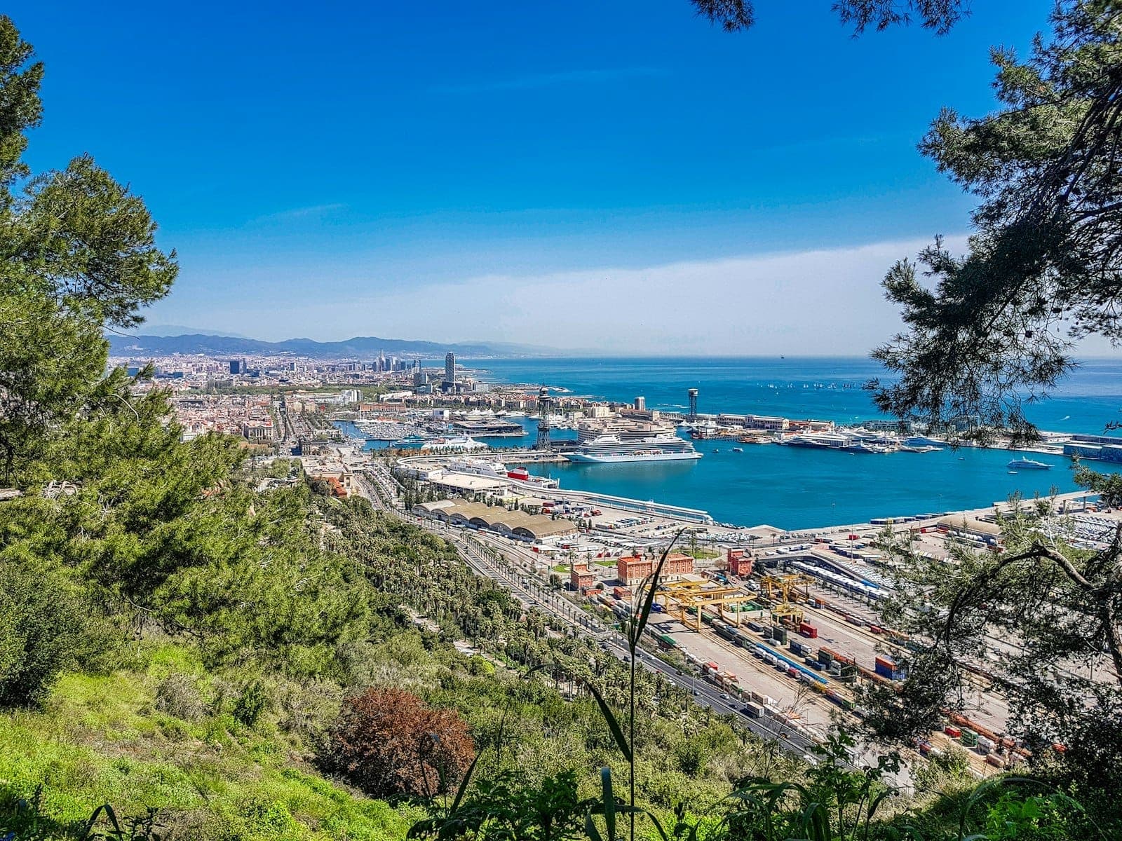 วิวพาโนรามาของท่าเรือและเส้นขอบฟ้าบาร์เซโลนาที่ถูกกรอบด้วยต้นไม้ ท้องฟ้าสีฟ้า และทะเลเมดิเตอร์เรเนียน ชวนออกเดินทางไปสำรวจนอกเมือง