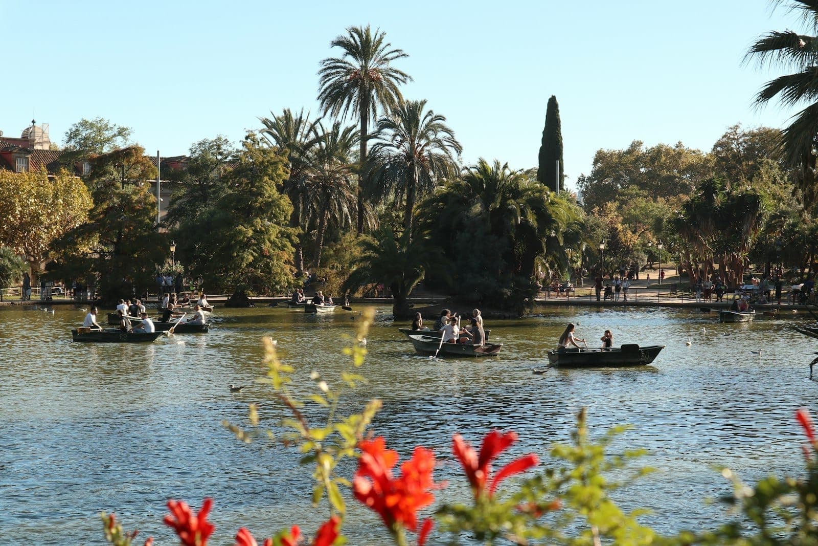Personas en botes de remo disfrutando de un día soleado en un lago rodeado de vegetación exuberante y palmeras en el Parc de la Ciutadella, Barcelona.