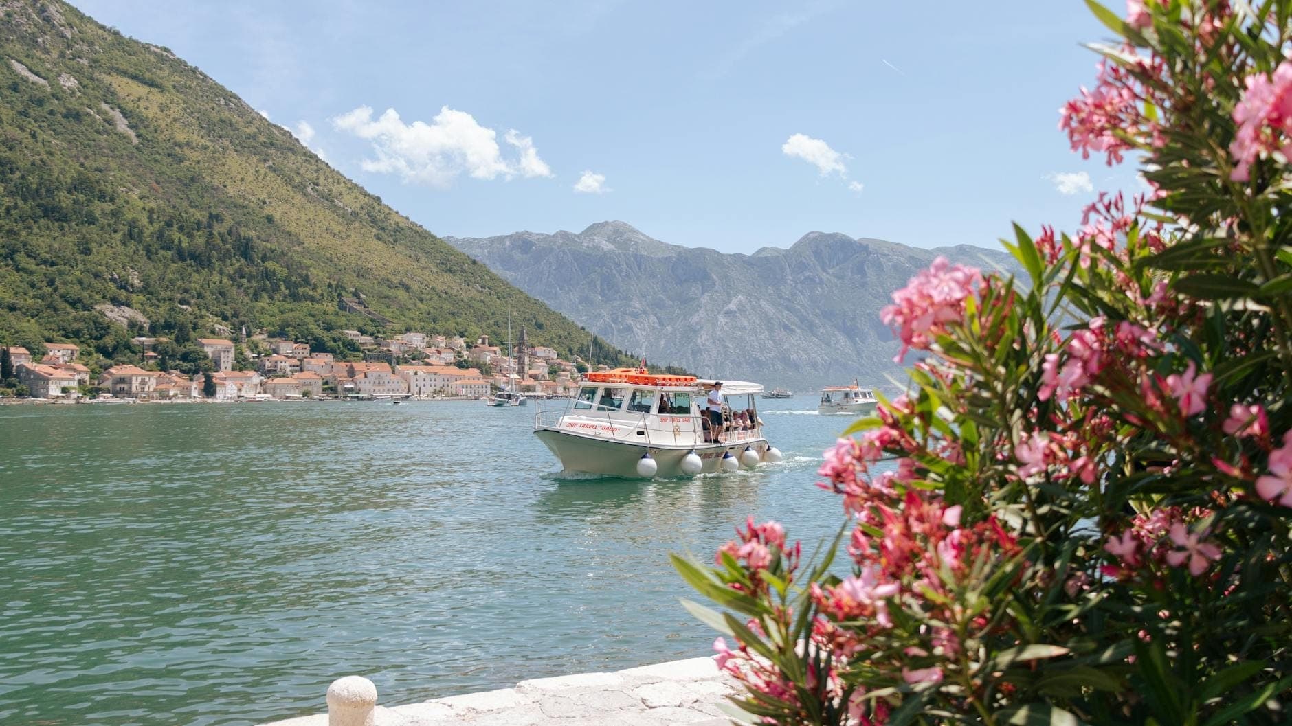Bateau de croisière naviguant sur la Baie de Kotor avec des montagnes, un village à flanc de colline et des fleurs roses au premier plan sous un ciel bleu ensoleillé.