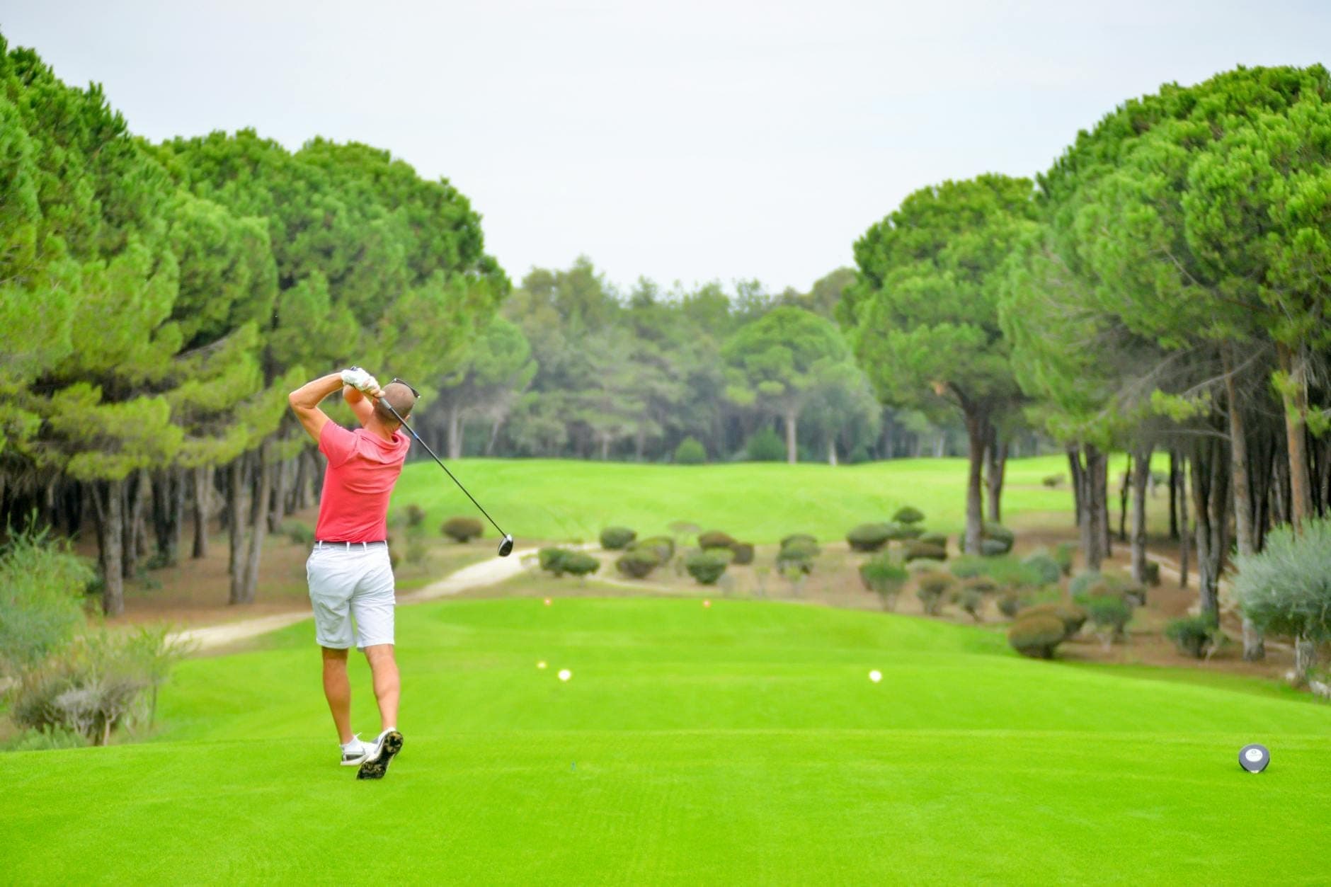 Ein Golfer im roten Shirt und weißen Shorts schlägt ab – umgeben von sattem Grün und mediterranen Kiefern unter strahlend blauem Himmel.