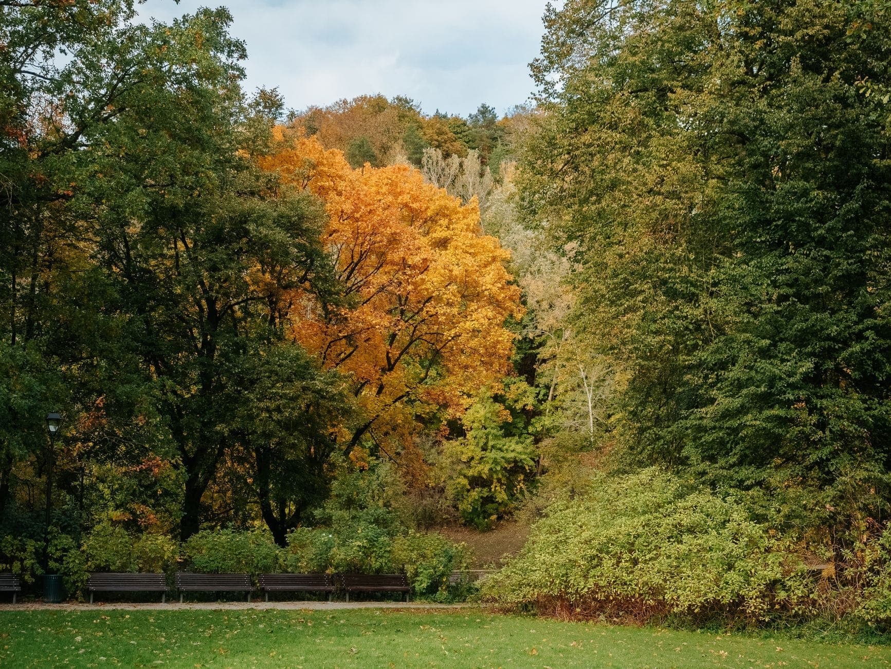 Escena de parque otoñal en Berlín con árboles de vivos colores naranja y amarillo, bancos y hierba verde bajo un cielo nublado.