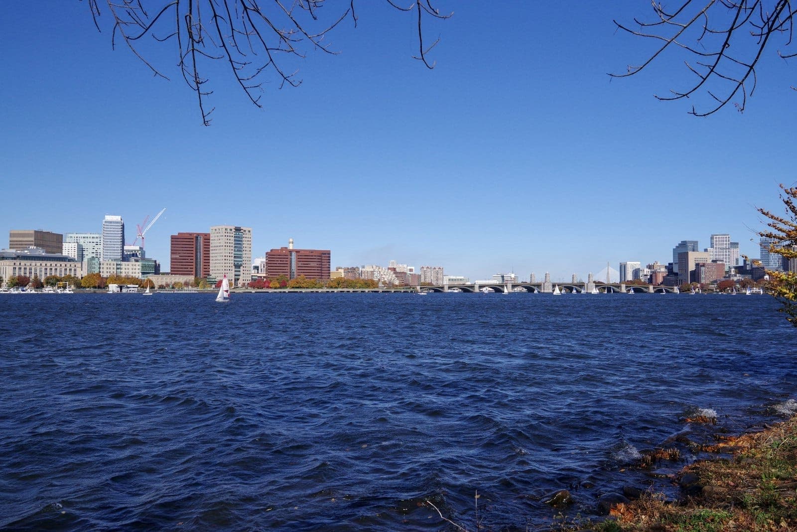 Skyline de Boston en automne avec un ciel bleu dégagé, les bâtiments de la ville, la Charles River et des arbres aux couleurs d'automne au bord de l'eau.