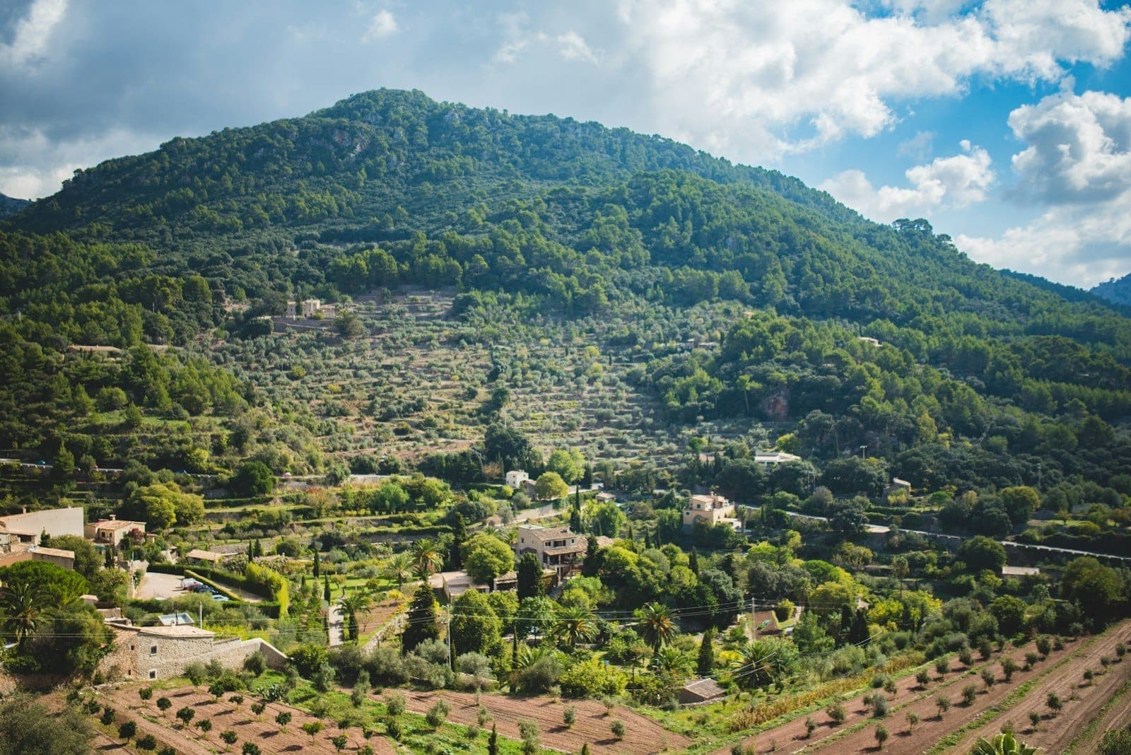 Lussureggiante collina terrazzata con case sparse sotto un cielo luminoso e nuvole a Mallorca