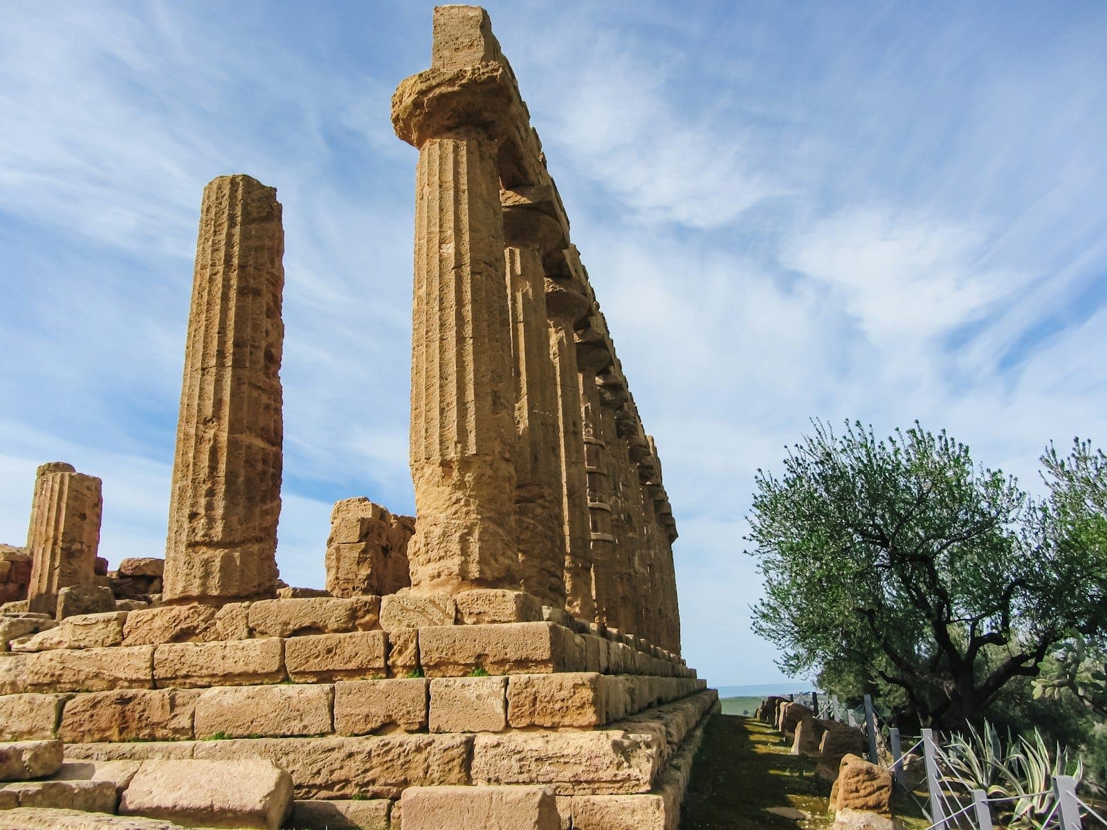 Rovine di un antico tempio greco ad Agrigento, in Sicilia, circondate dalla vegetazione primaverile e da un ulivo sotto un cielo azzurro.