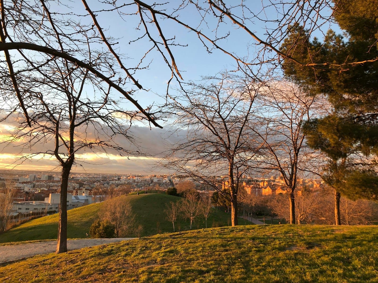 Erhöhter grüner Park bei Sonnenuntergang mit Bäumen und weitem Blick auf die Stadt Madrid im Hintergrund.