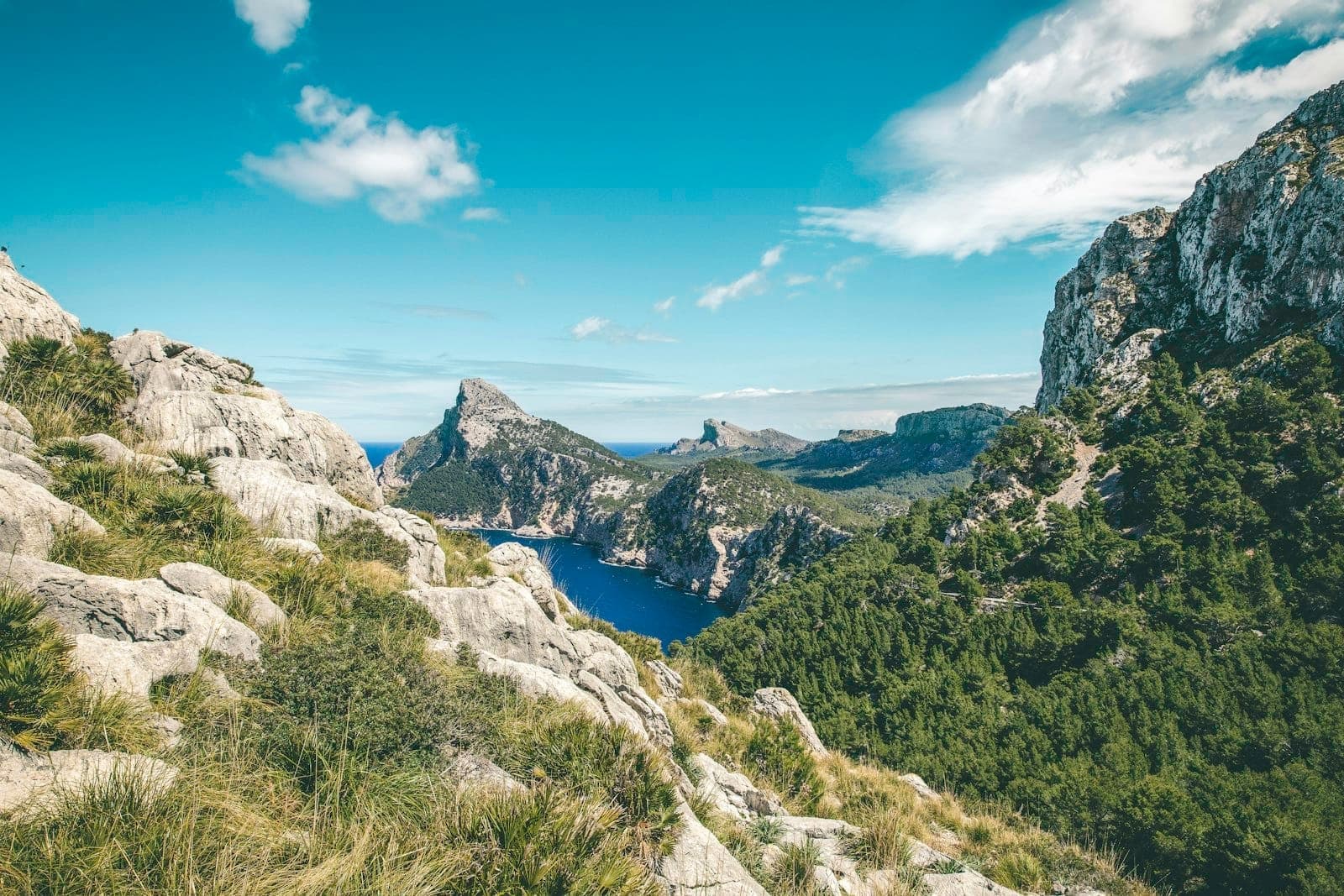 Weiter Blick von einem felsigen Hügel über grüne Wälder und dramatische Klippen, mit tiefblauem Meer und schroffen Bergen in der Ferne unter strahlend blauem Himmel.