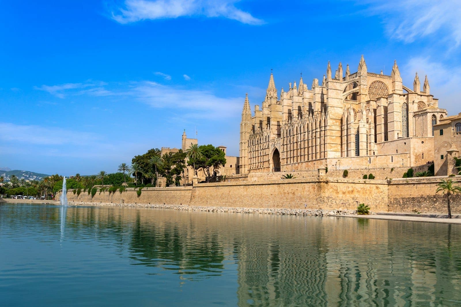 Vista sul lungomare della Cattedrale di Palma e il suo riflesso sul lago, con cielo azzurro e palme in primo piano.