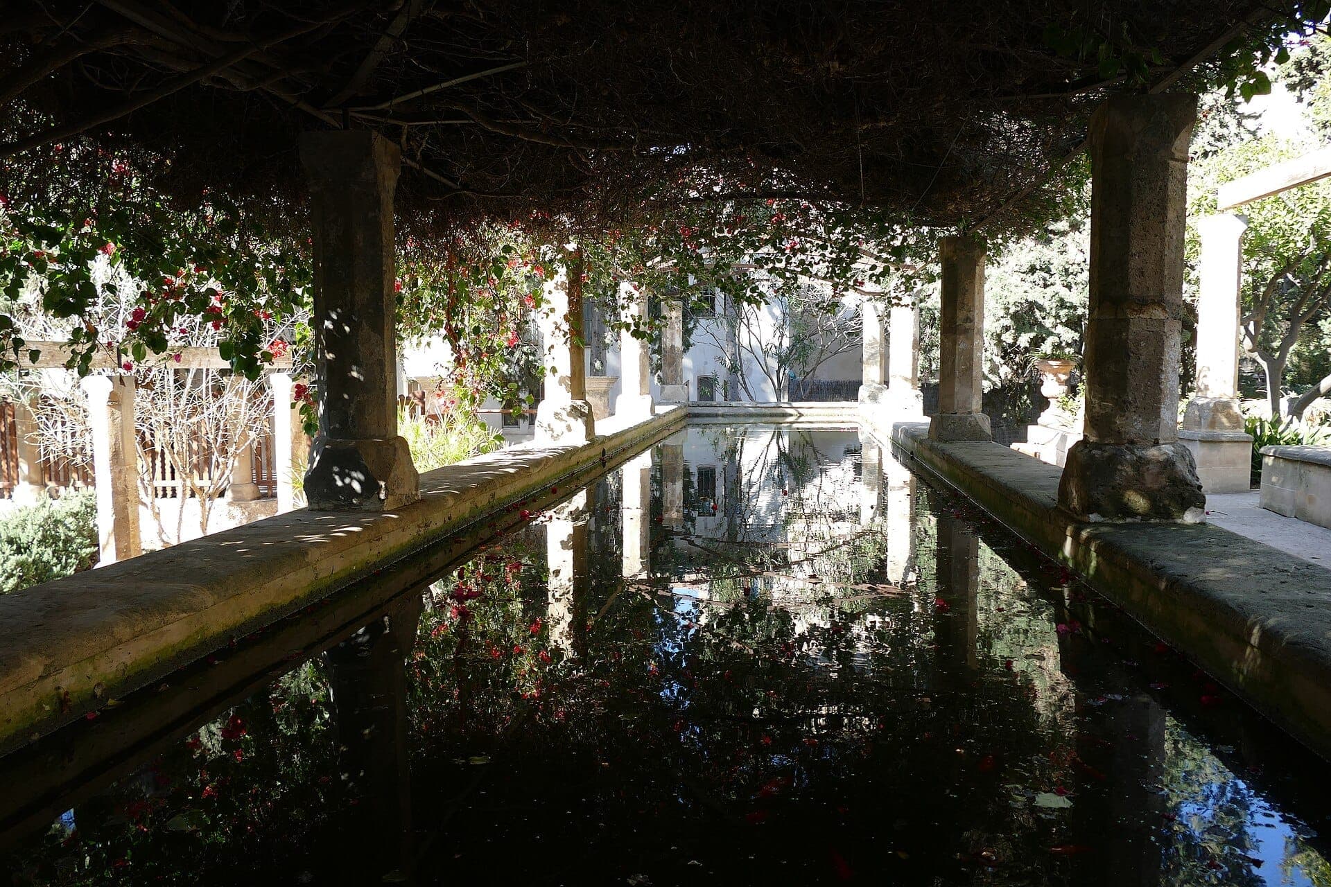 Zentraler Zierbrunnen, beschattet von Weinreben und Steinsäulen im Jardí del Bisbe hinter der Kathedrale von Palma an einem sonnigen Tag.