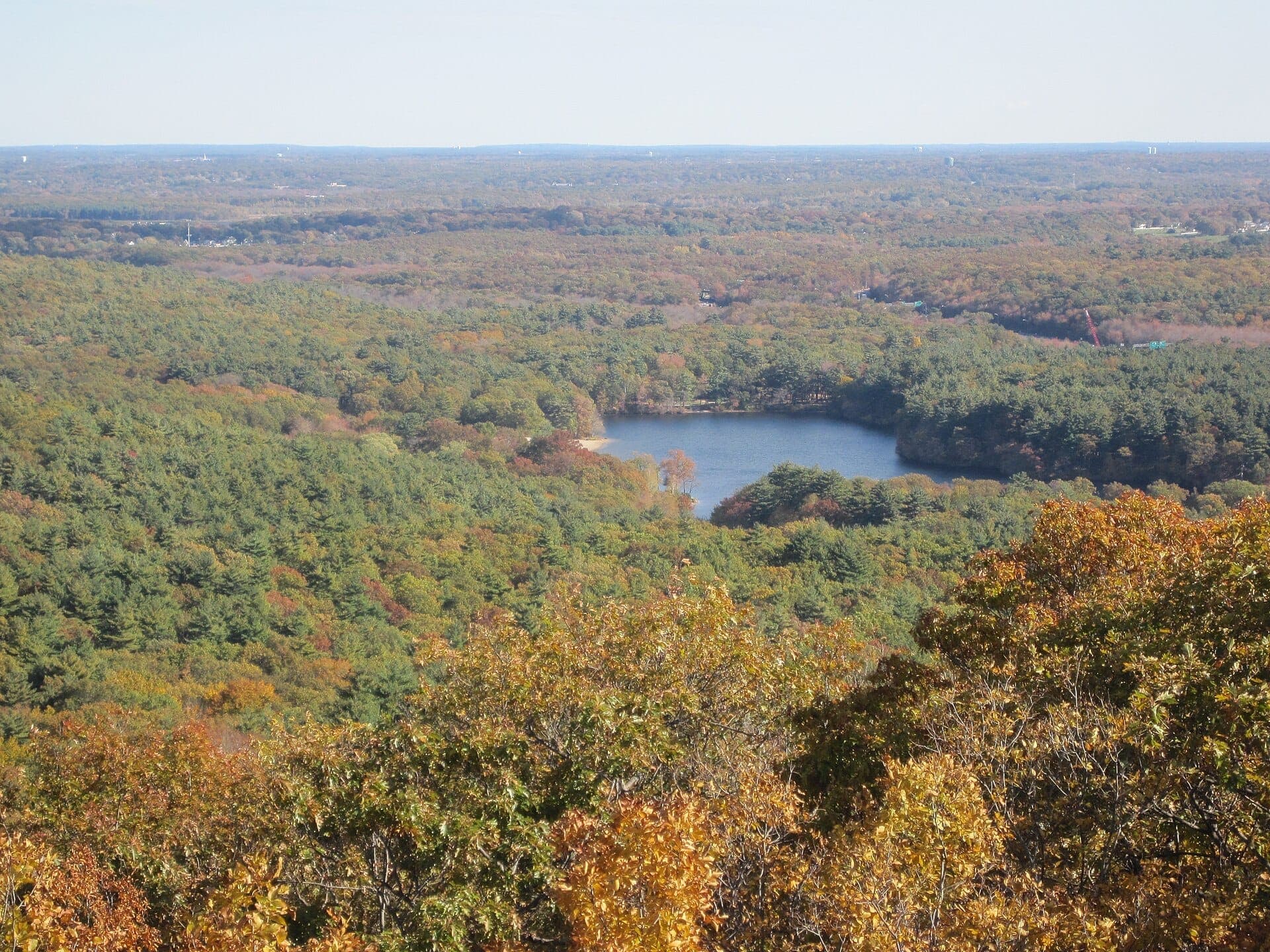 Vue panoramique de Blue Hills Reservation avec de denses forêts automnales et un étang scintillant sous un ciel dégagé, vue depuis Eliot Tower.