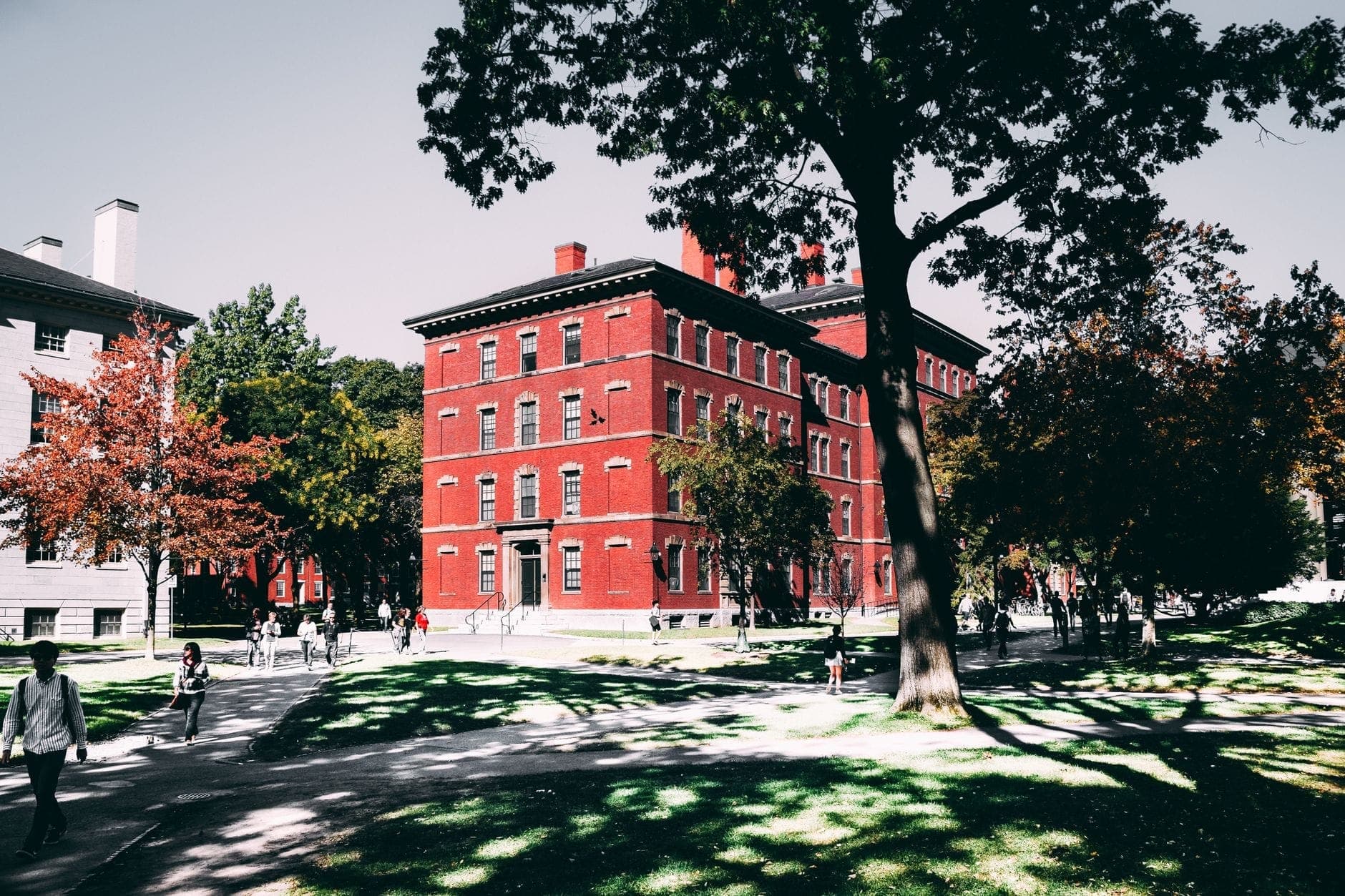 Des personnes se promenant dans le campus verdoyant de Harvard avec un bâtiment classique en briques rouges et des arbres à la fin du printemps ou au début de l'automne.
