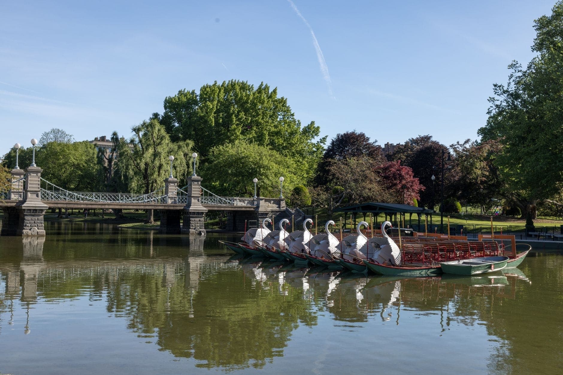 Bateaux-cygnes du Boston Public Garden amarrés sur une lagune paisible avec un pont pittoresque et une végétation luxuriante en arrière-plan.