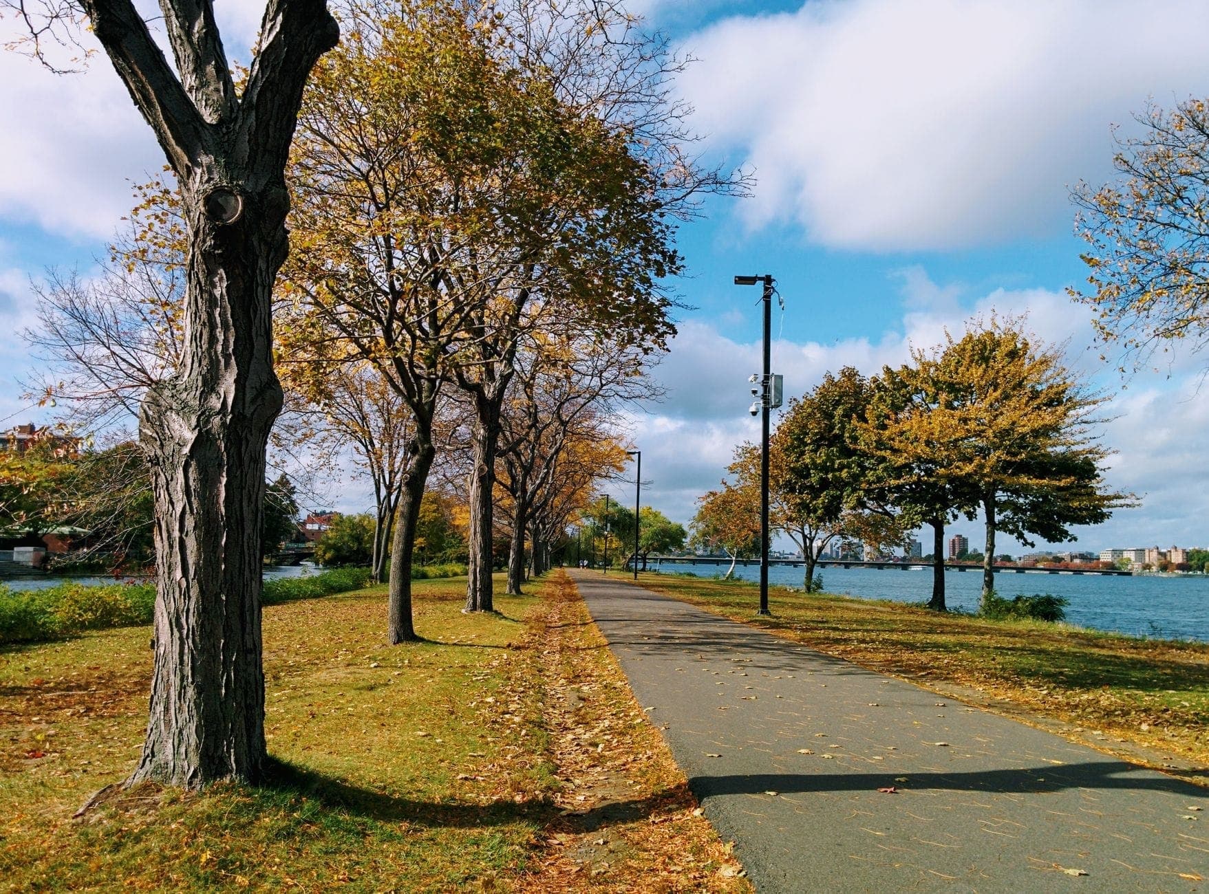 Allée bordée d'arbres le long de la Charles River à Boston avec un feuillage automnal et un ciel dégagé, évoquant une atmosphère d'automne classique.