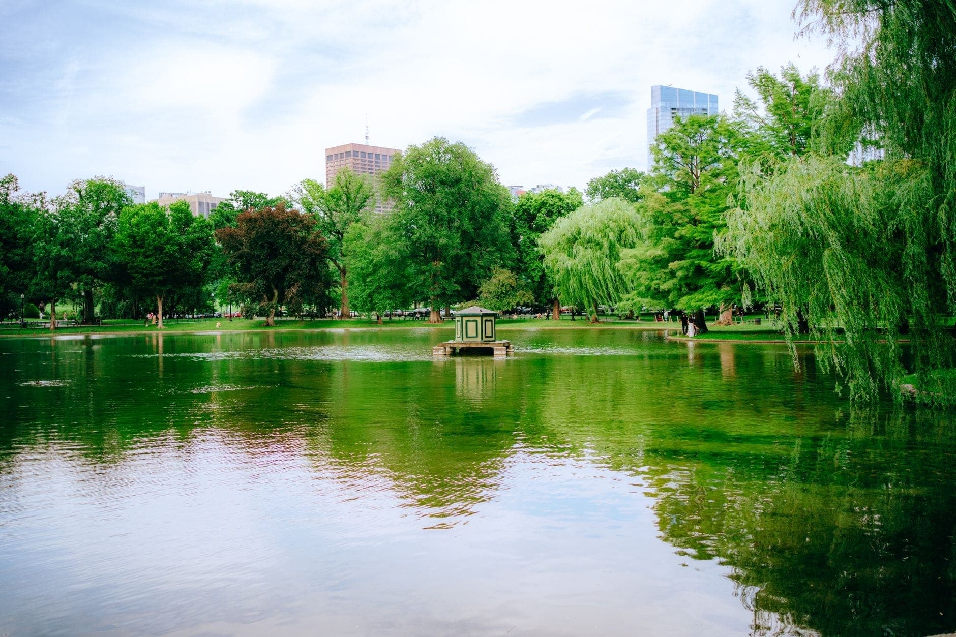 Le Public Garden de Boston avec ses grands arbres verdoyants, un étang paisible et les immeubles de la ville en arrière-plan, par une journée lumineuse et nuageuse.