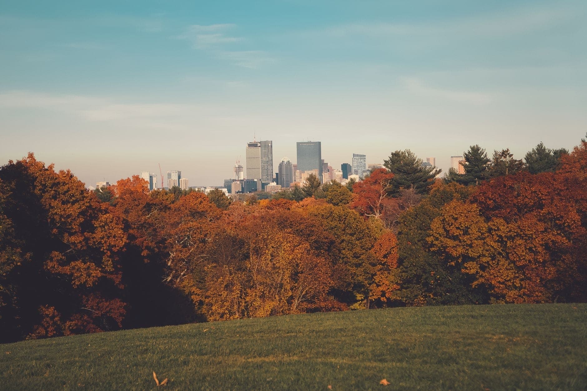 Horizon de Boston vu depuis un parc avec un feuillage d'automne éclatant et de l'herbe verte au premier plan, sous un ciel dégagé.