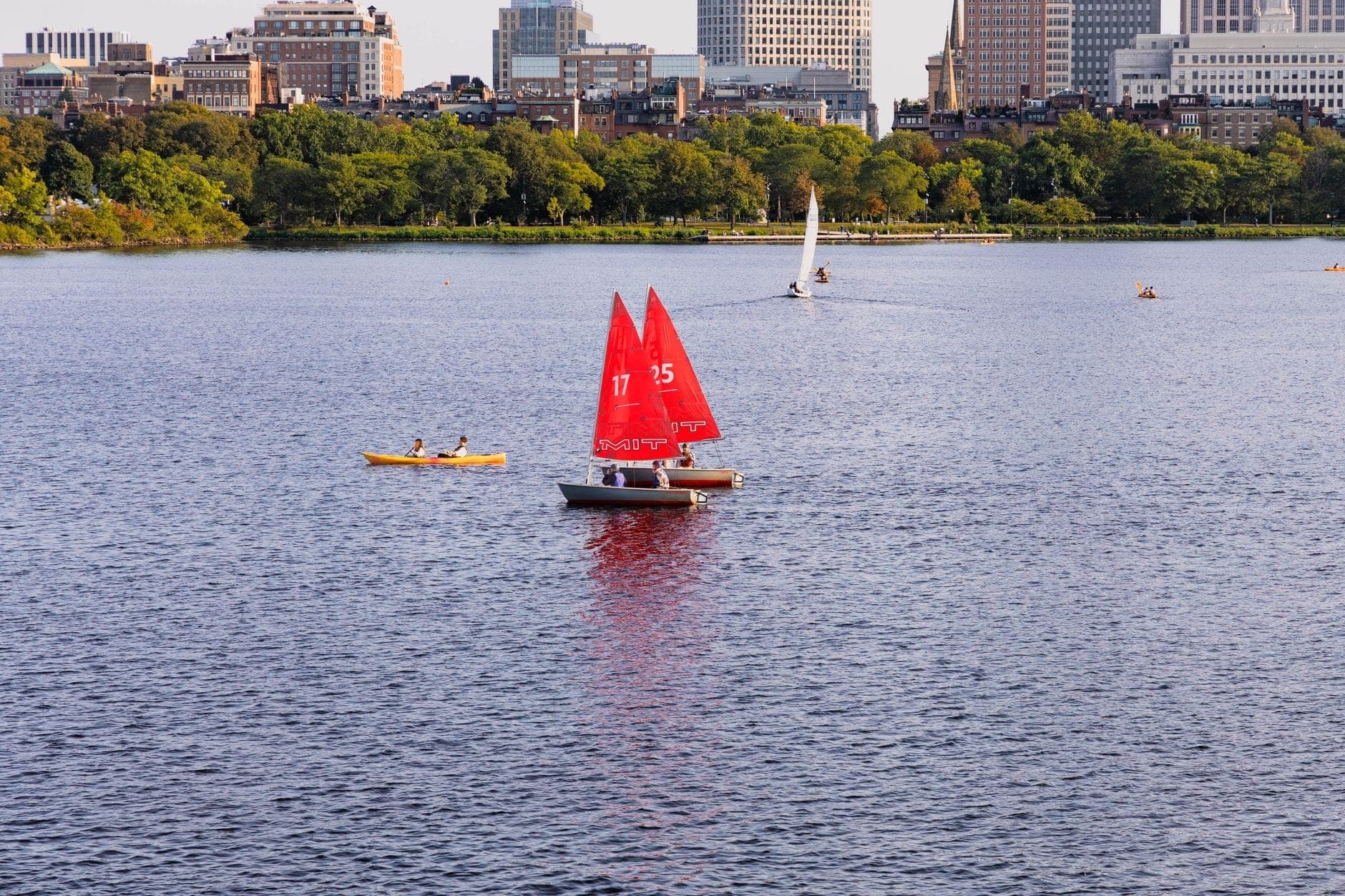 Voiliers aux voiles rouges et kayakistes sur le Charles River avec la ligne d'horizon de Boston et des arbres verts en arrière-plan.