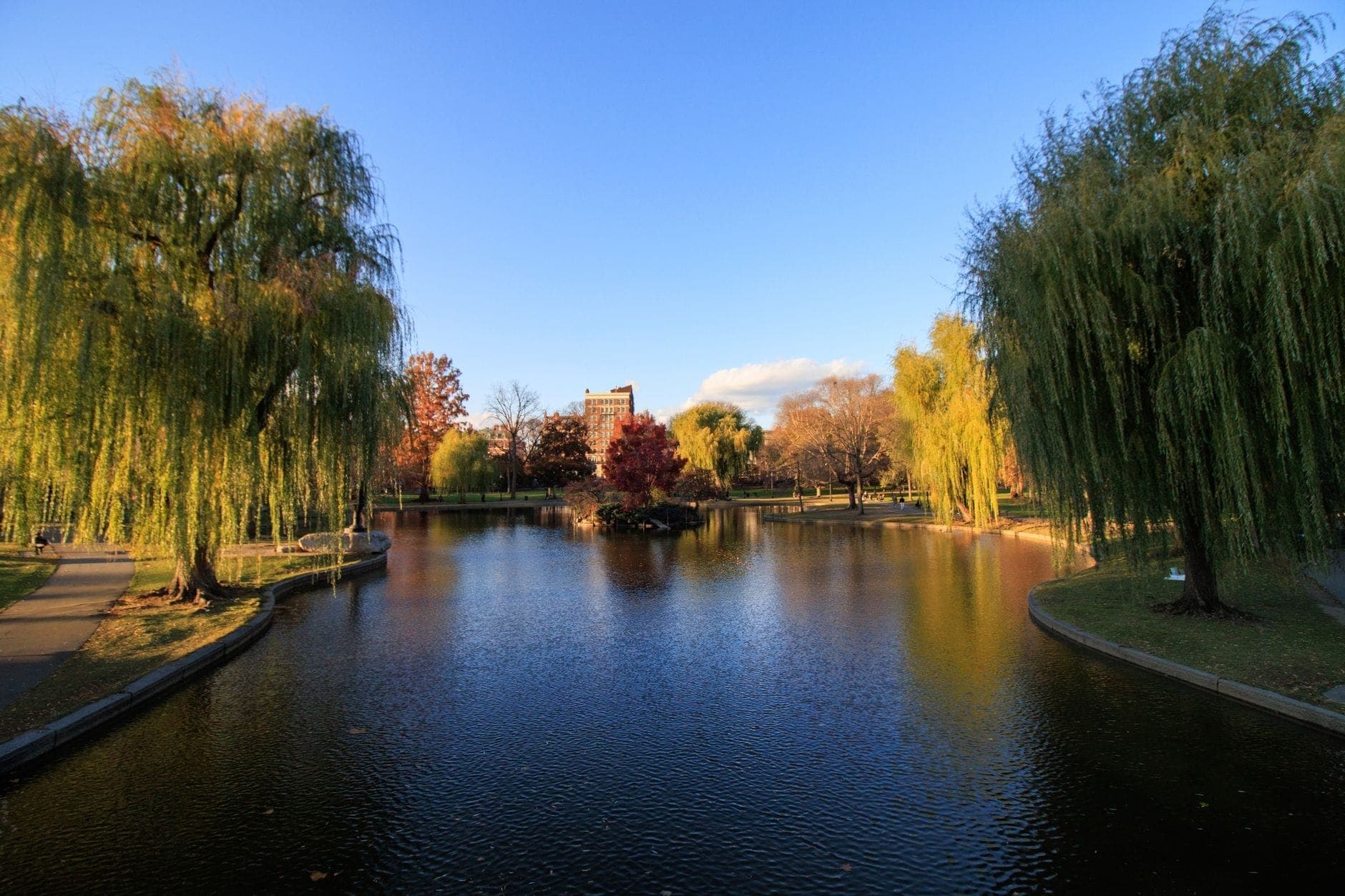 Lagon du Boston Public Garden en fin d'après-midi, couleurs automnales sur les arbres, ciel bleu dégagé, paisibles allées longeant l'eau.