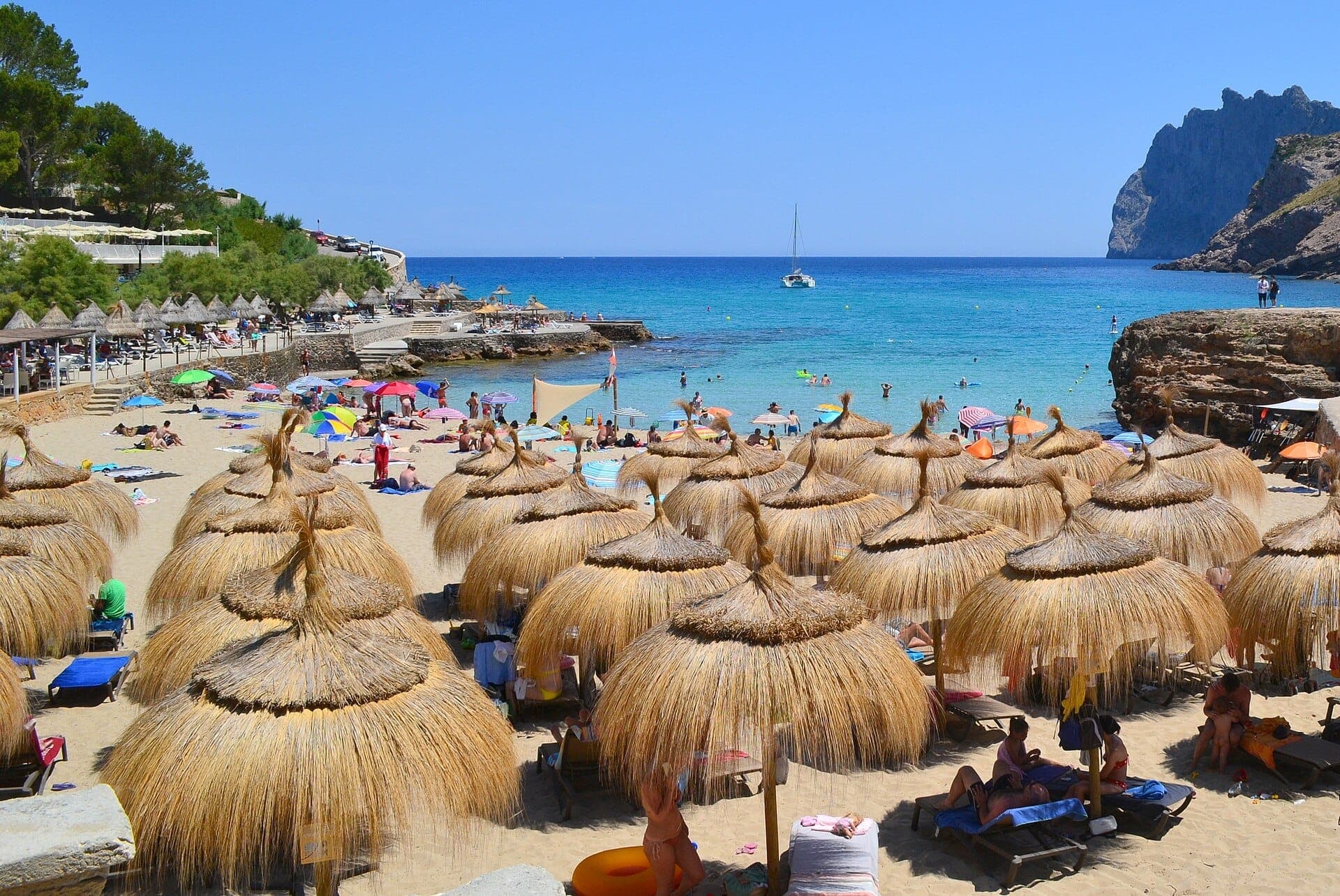 Blick auf den Strand Cala Molins mit Reihen von Strohschirmen, Sonnenbadenden auf goldenem Sand, klarem blauem Wasser und kiefernbedeckten Klippen auf Mallorca.
