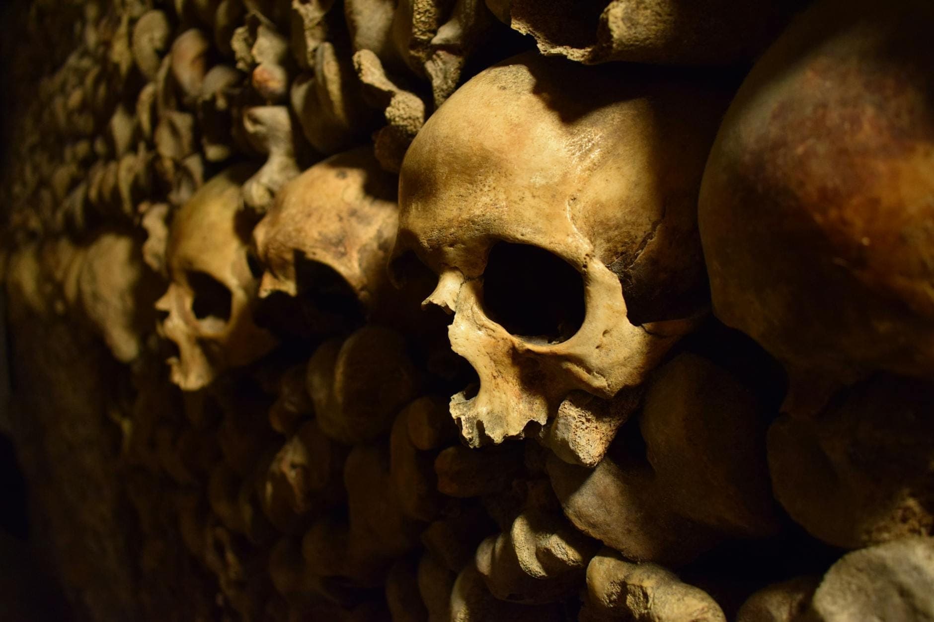 A close-up view of skulls and bones stacked along the walls of the Catacombs of Paris, dimly lit with dramatic shadows.