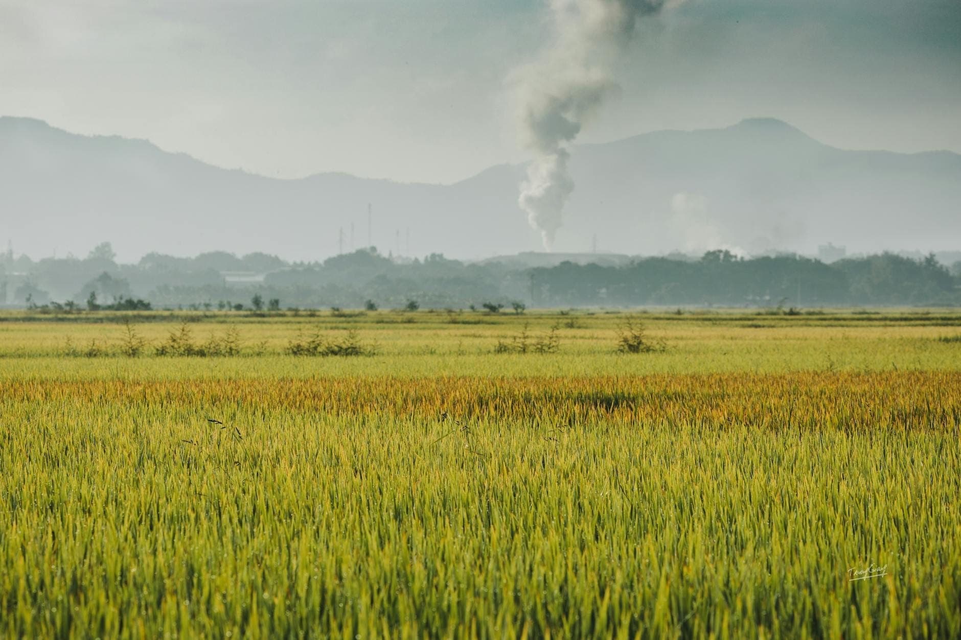 Un pennacchio di fumo si alza da campi in fiamme con montagne distanti e aree boschive, illustrando la bruciatura agricola vicino a Chiang Mai.