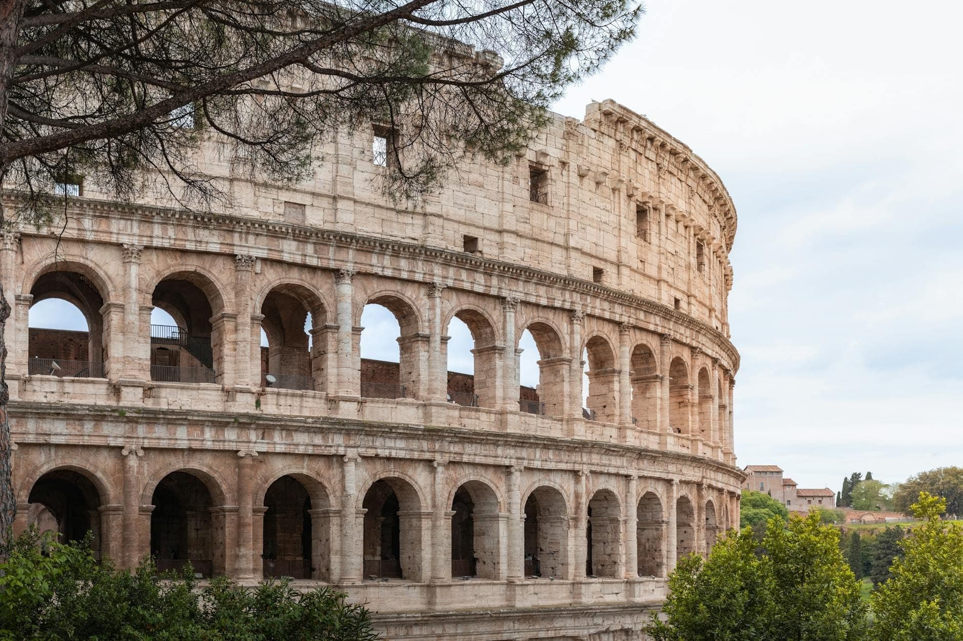 Vista panoramica dell'esterno del Colosseo circondato da verde e rami d'albero, con i suoi iconici archi e la maestosa struttura antica di Roma.
