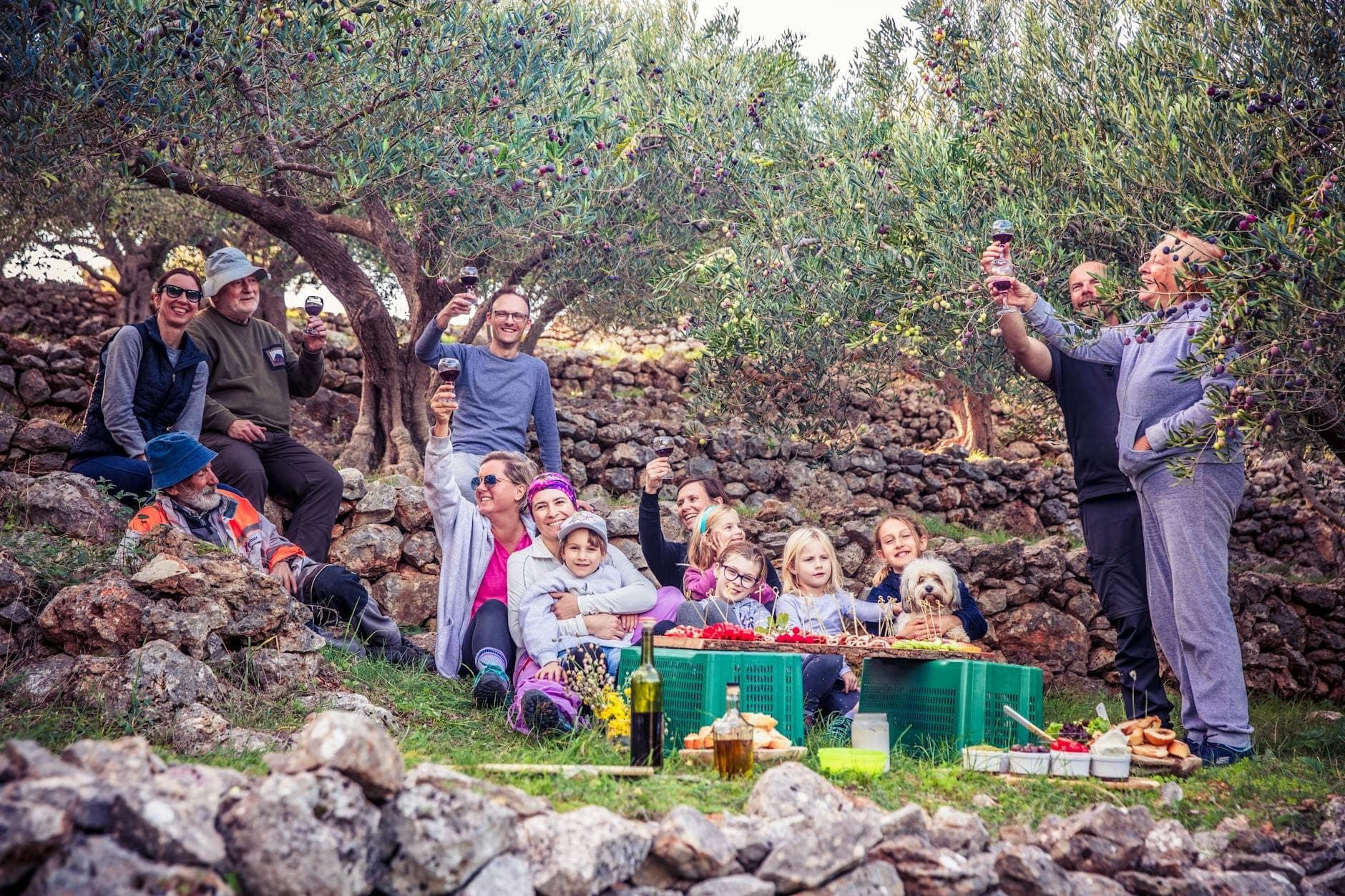 Eine Gruppe von Menschen, die ein Picknick mit Wein und Essen unter Olivenbäumen in einer ländlichen Terrassenlandschaft genießt.