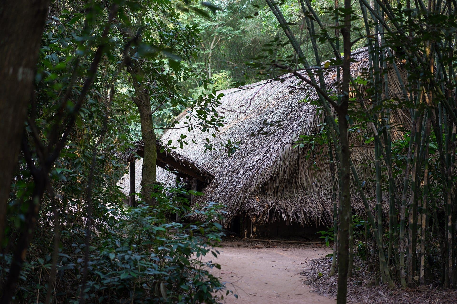Traditional thatched-roof hut surrounded by dense green forest at Củ Chi, with bamboo and leafy trees framing a dirt pathway in daylight.