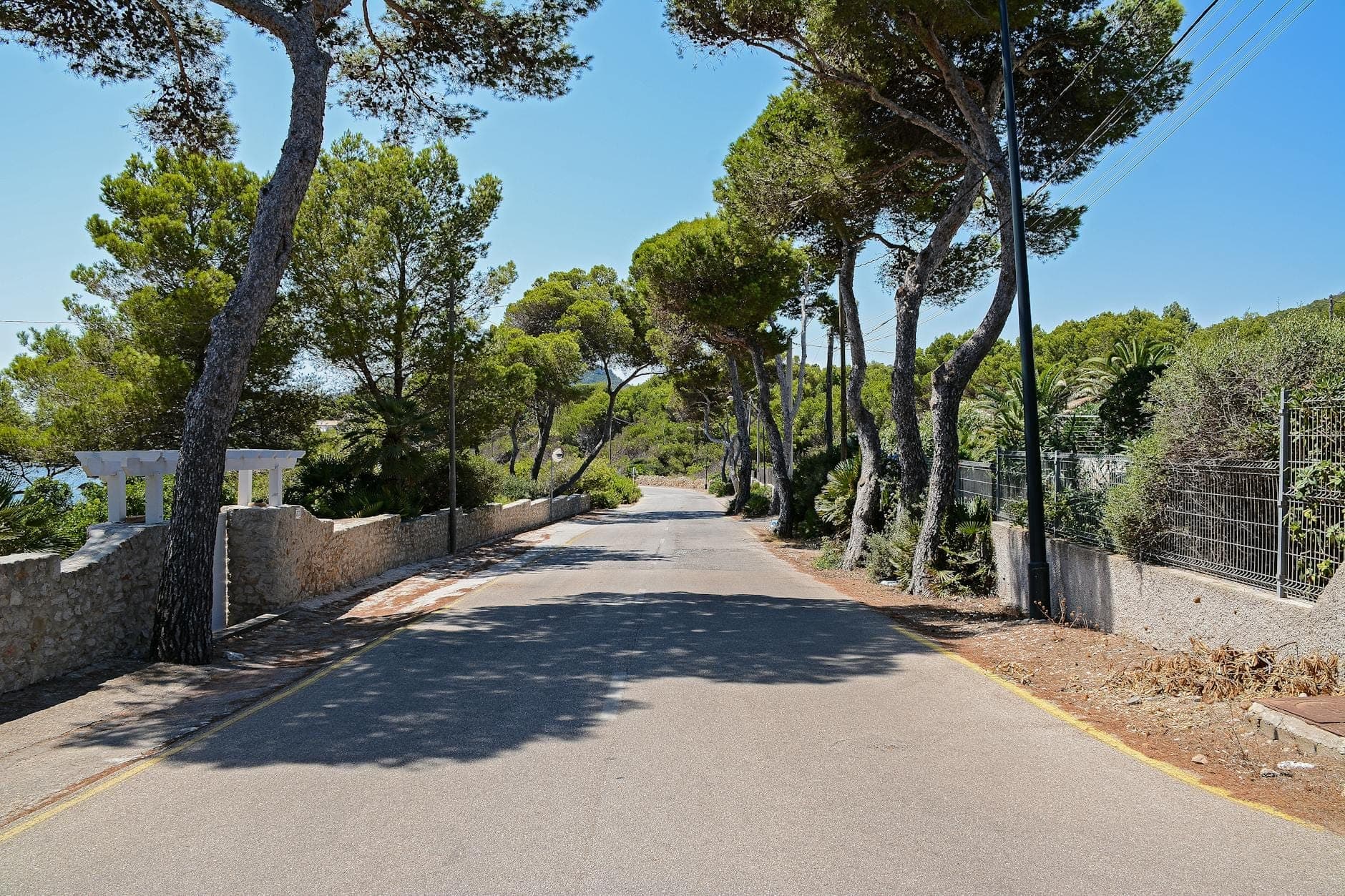 Mallorca'da güneş ışığıyla aydınlanmış, ağaçlarla çevrili sahil yolu, hafif virajlar ve açık gökyüzüyle düz bisiklet rotaları için ideal.