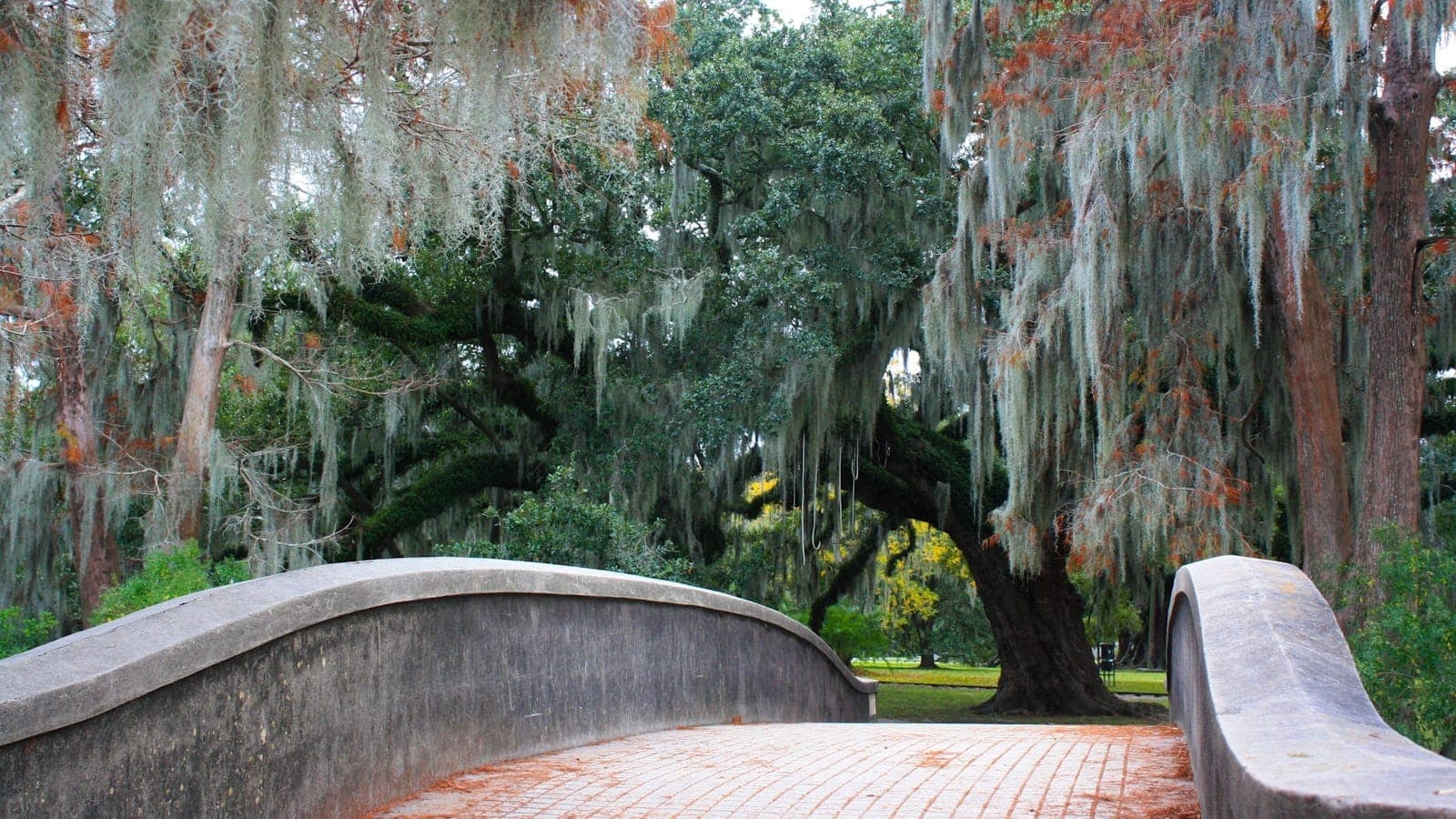 Eine malerische Brücke in einem üppigen Park mit großen Eichen, die mit Spanischem Moos bedeckt sind, und an City Park oder Audubon Park in New Orleans erinnert.