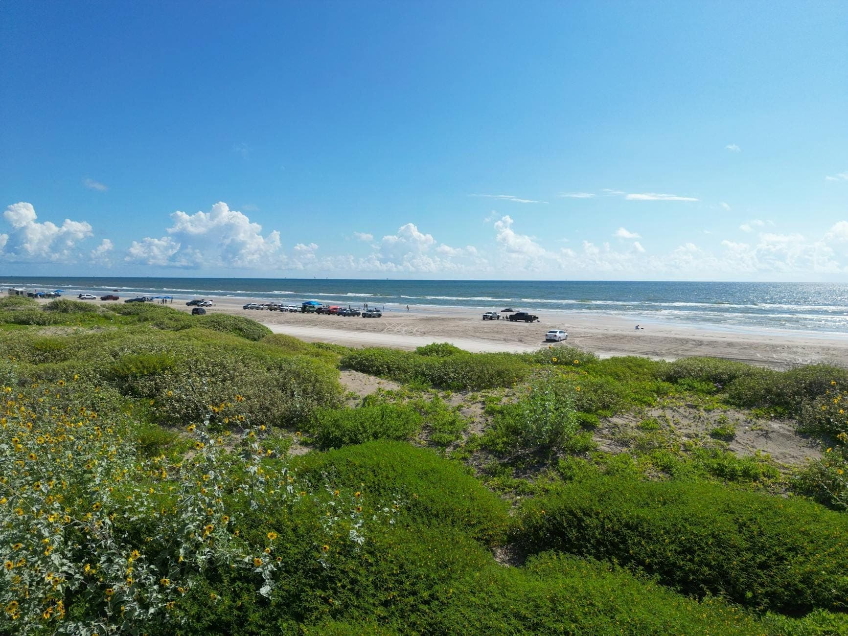 Breiter Sandstrand auf einer Barriereinsel mit am Ufer geparkten Autos, grasbewachsenen Dünen im Vordergrund und einem strahlend blauen Himmel.
