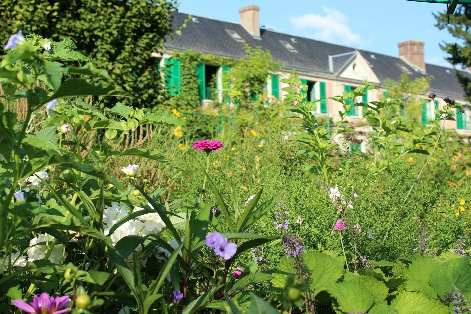 Gros plan sur des fleurs colorées dans le jardin de Monet à Giverny avec une charmante maison aux volets verts en arrière-plan.