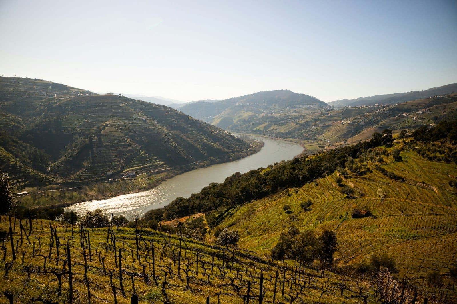 Vista panoramica della Valle del Douro con vigneti terrazzati, una tradizionale cantina bianca, cipressi e le acque tranquille del fiume Douro sotto un cielo azzurro con nuvole.