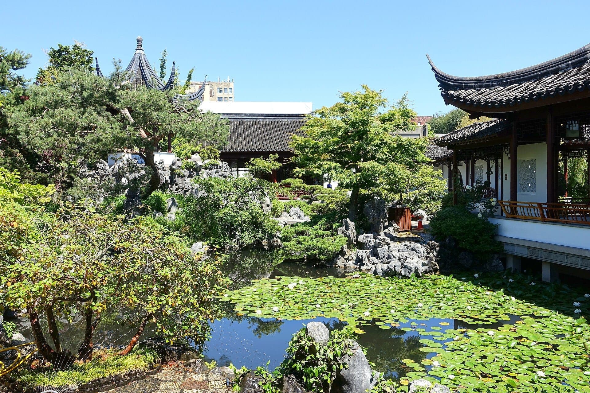 Dr. Sun Yat-Sen Classical Chinese Garden ที่มีสถาปัตยกรรมศาลาแบบดั้งเดิม บึงบัวอันสงบร่มรื่น หินปูน และพืชพรรณเขียวชอุ่มใต้ท้องฟ้าสีฟ้าสดใส