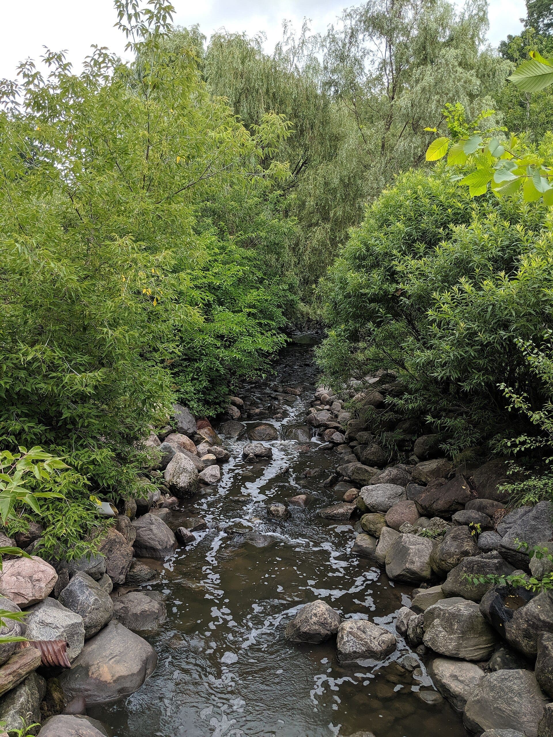 Un ruscello ombreggiato delimitato da rocce e lussureggianti alberi verdi, immerso negli Edwards Gardens nel Toronto Botanical Garden.