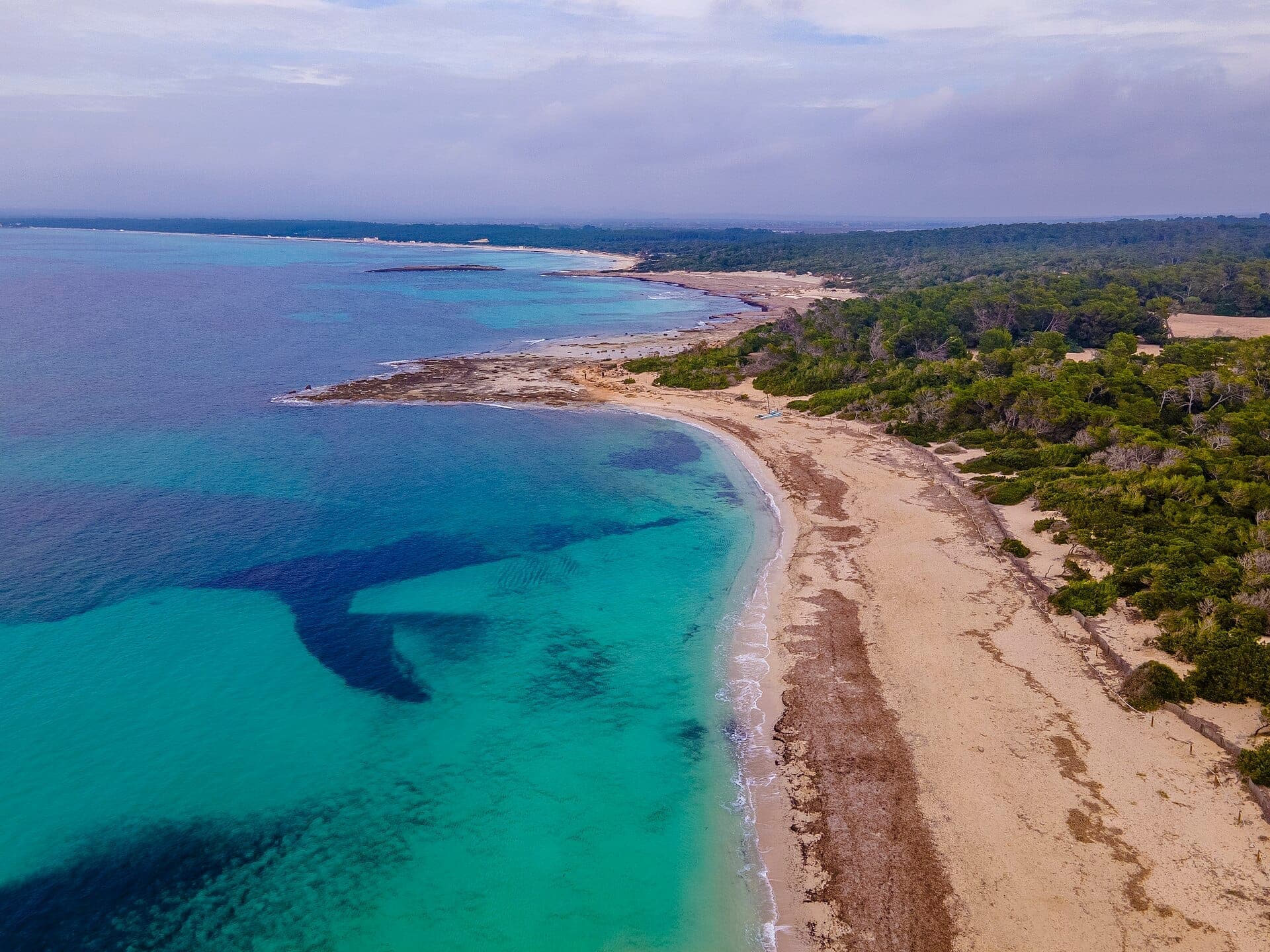 Luftaufnahme des Strandes Es Trenc auf Mallorca mit türkisfarbenem Wasser, Sandküste und unberührten Dünen, die von üppigem grünen Wald gesäumt werden.