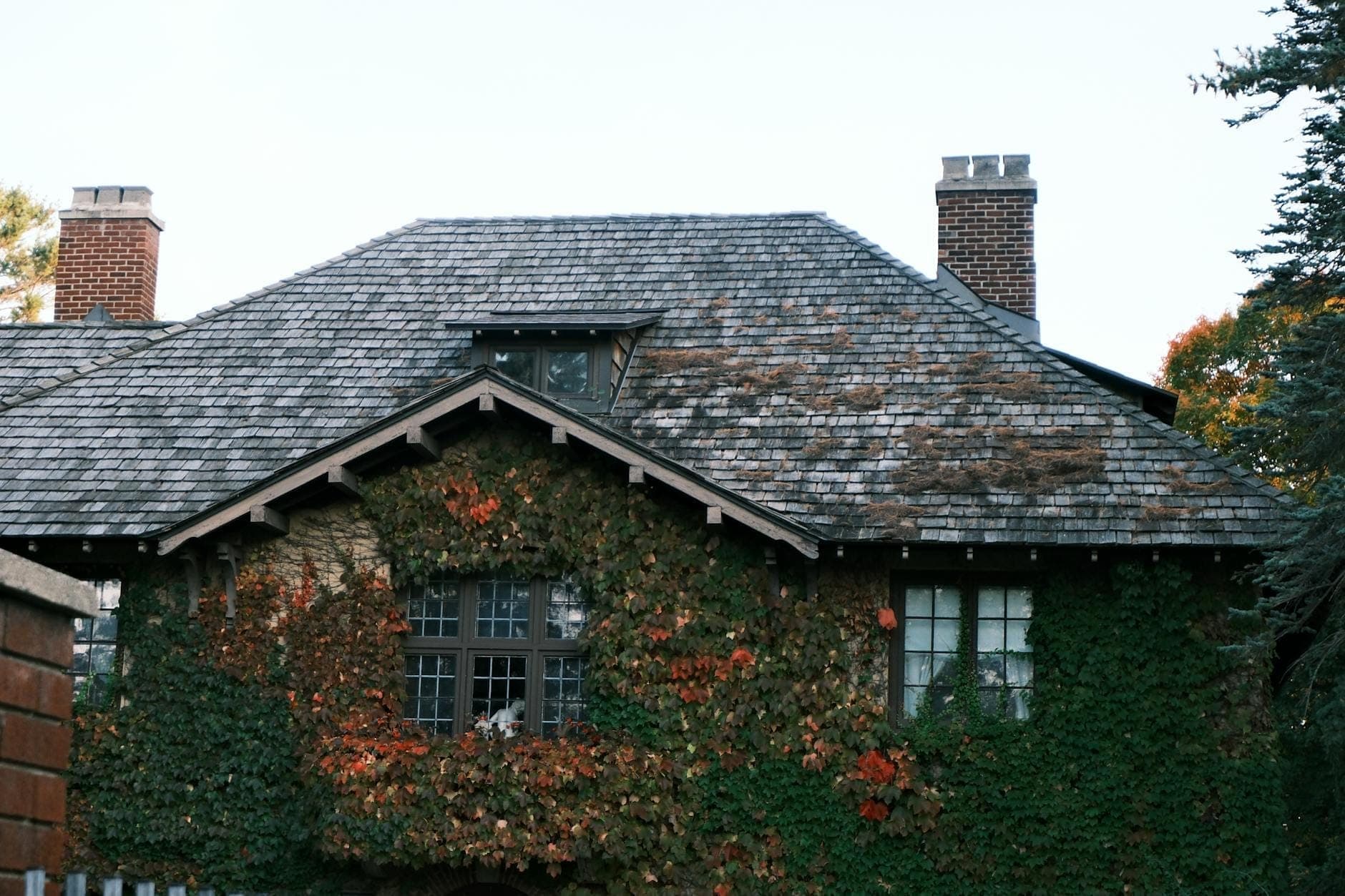 Una encantadora casa histórica con techo de dos aguas, paredes cubiertas de hiedra y chimeneas de ladrillo, rodeada de árboles y vegetación en un día despejado.