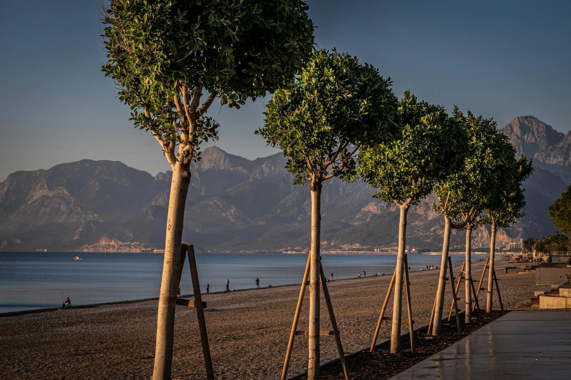 Eine Uferpromenade mit jungen Bäumen entlang eines Sandstrands, Bergen im Hintergrund und ruhigem Meer bei Sonnenuntergang in Antalya.