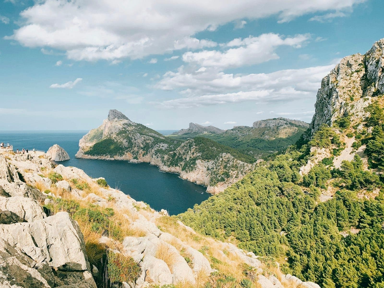 Weitläufiger Blick auf die Serra de Tramuntana-Berge Mallorcas mit üppigen grünen Wäldern, felsigen Klippen und blauem Meer unter einem hellen, teilweise bewölkten Himmel.