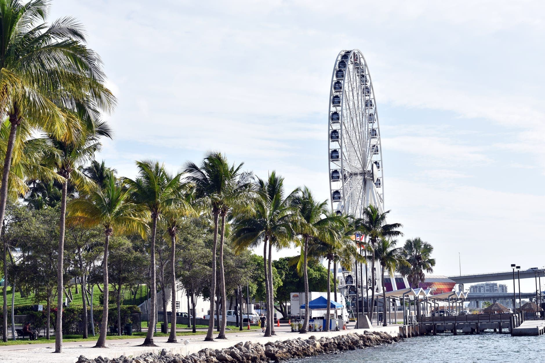 Bayside Marketplace Ferris wheel rises above palm trees and waterfront walkway in Miami, with blue sky and scattered clouds overhead.