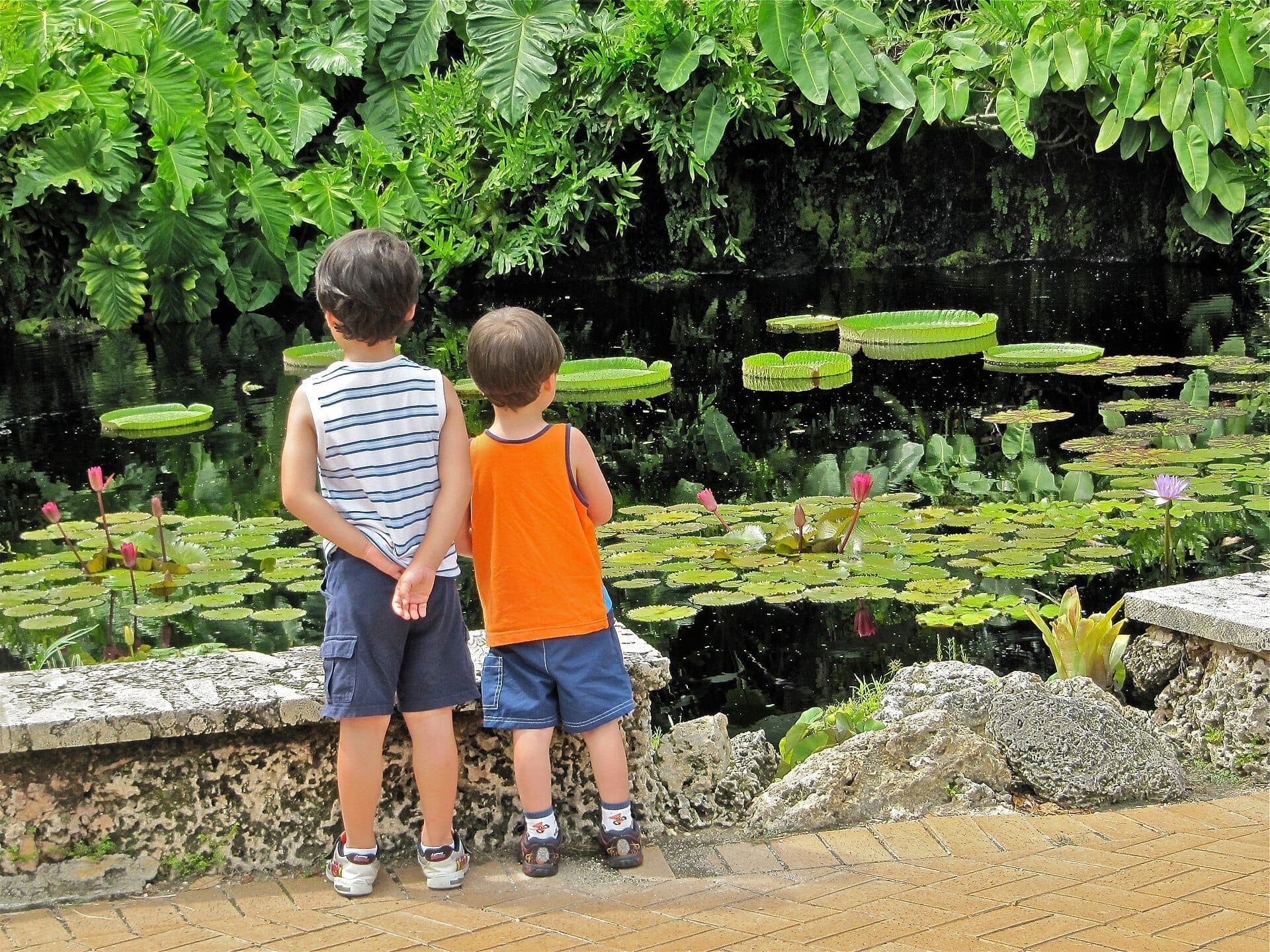 Two young children stand by a pond with lily pads and lush tropical plants at Fruit & Spice Park in Miami's Redland.